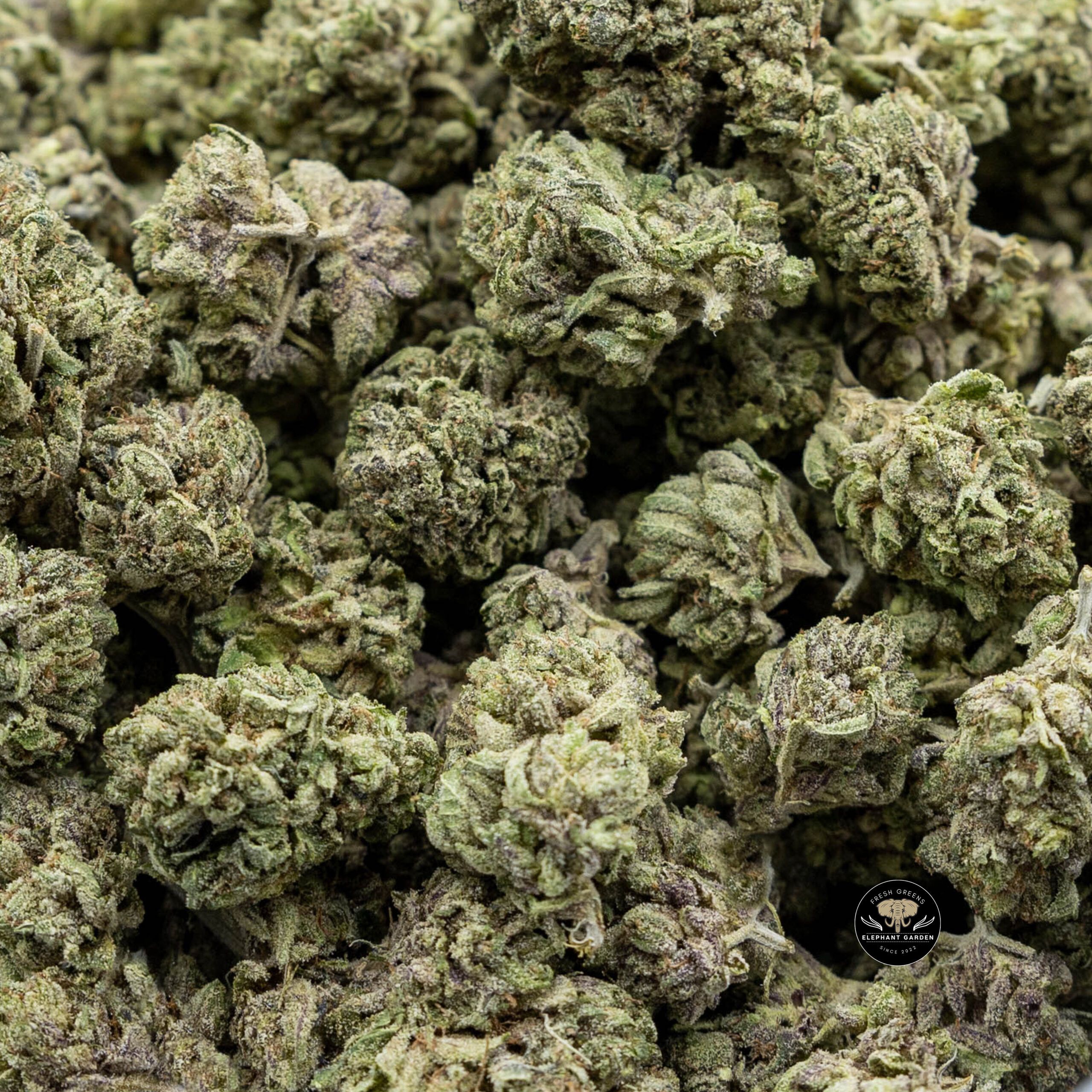 Buy Pink Kush at Elephant Garden Co Weed Dispensary Online Canada Bundle