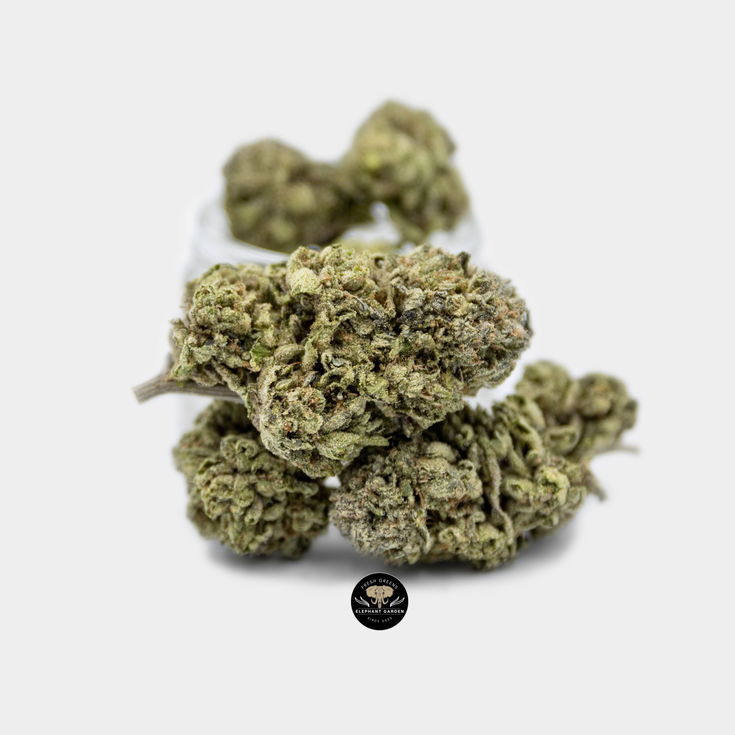 Buy Pink Kush at Elephant Garden Co Weed Dispensary Online Canada Bundle