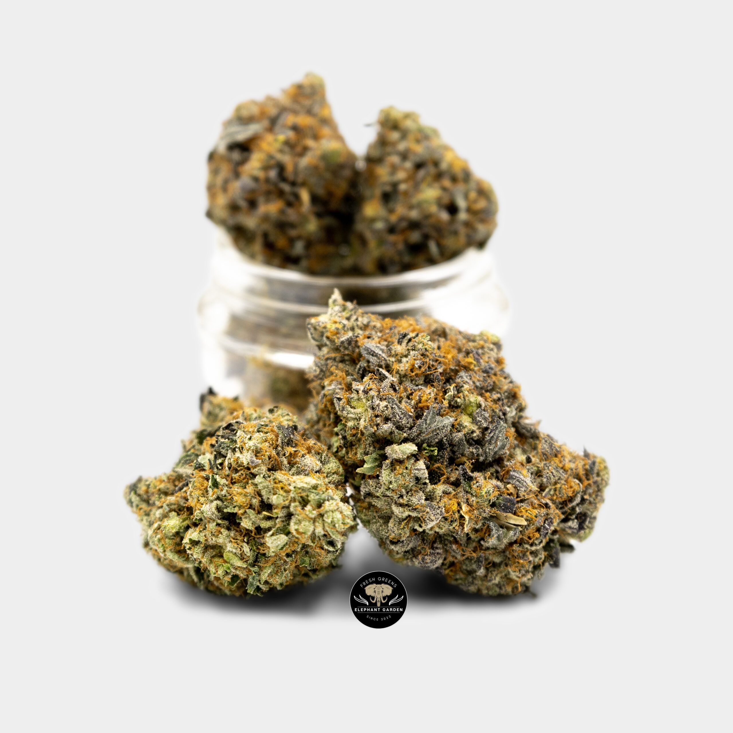 Buy Critical Kush at Elephant Garden Co Weed Dispensary Online Canada Bundle