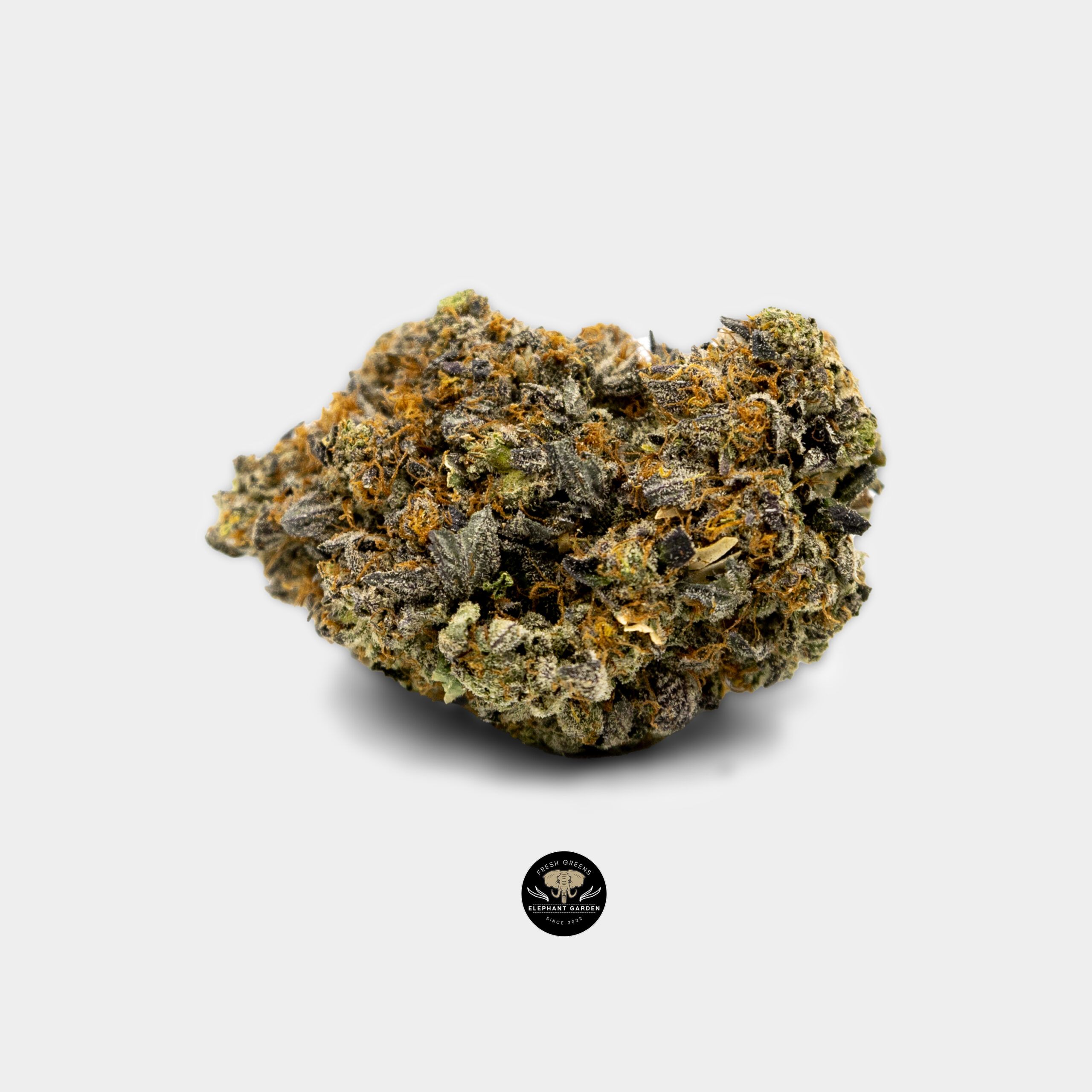 Buy Critical Kush at Elephant Garden Co Weed Dispensary Online Canada Single