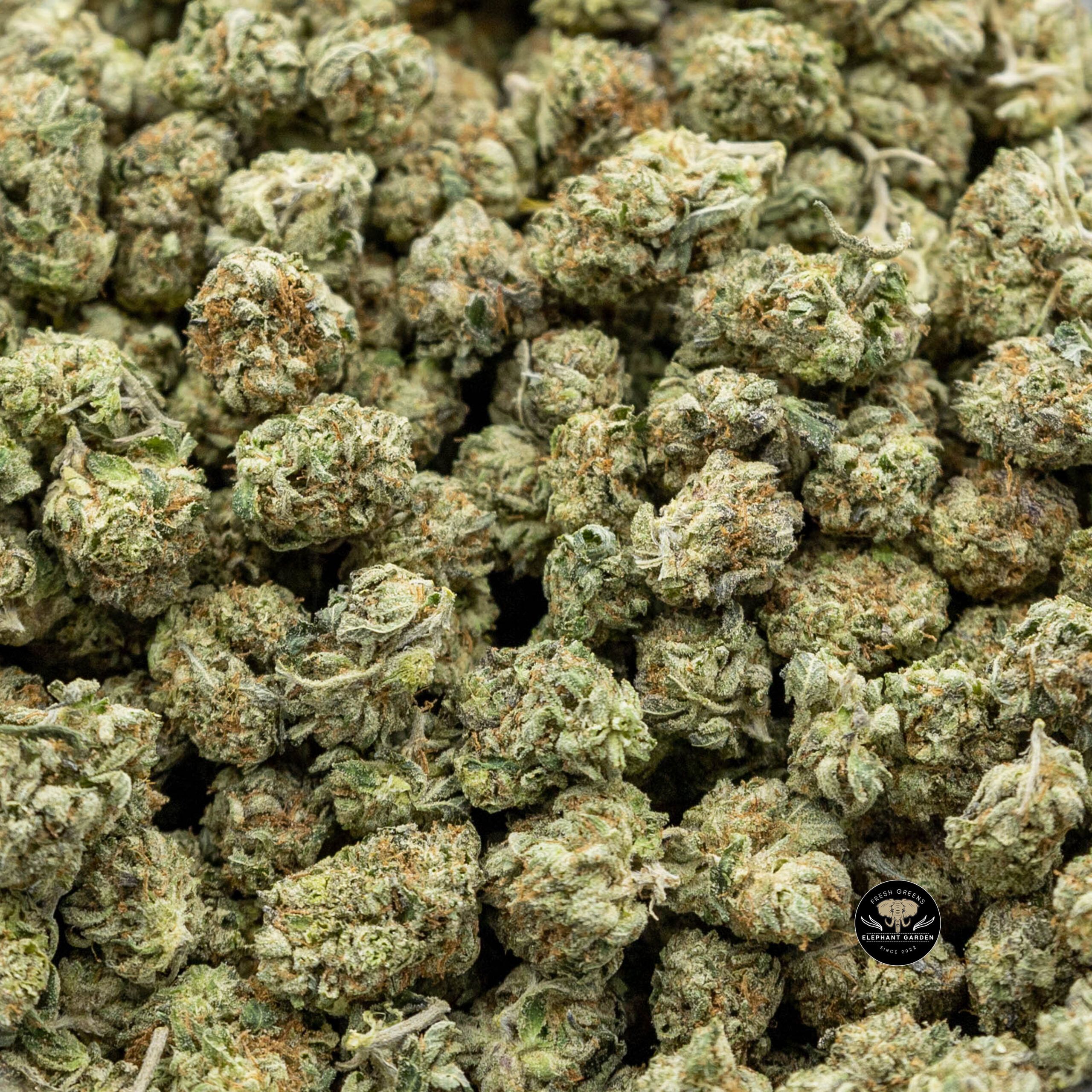 Buy Pink Kush at Elephant Garden Co Weed Dispensary Online Canada Bundle