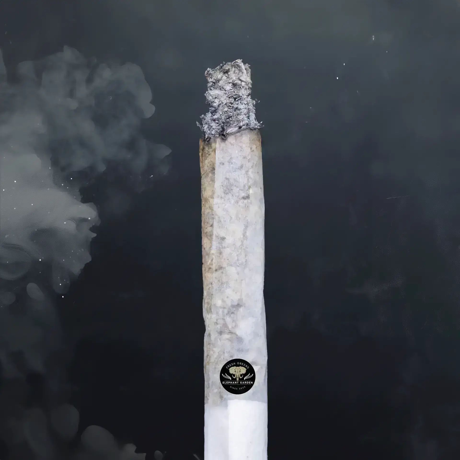 Buy Chem Pie OG at Elephant Garden Co Weed Dispensary Burn Test 8 7 2024 2