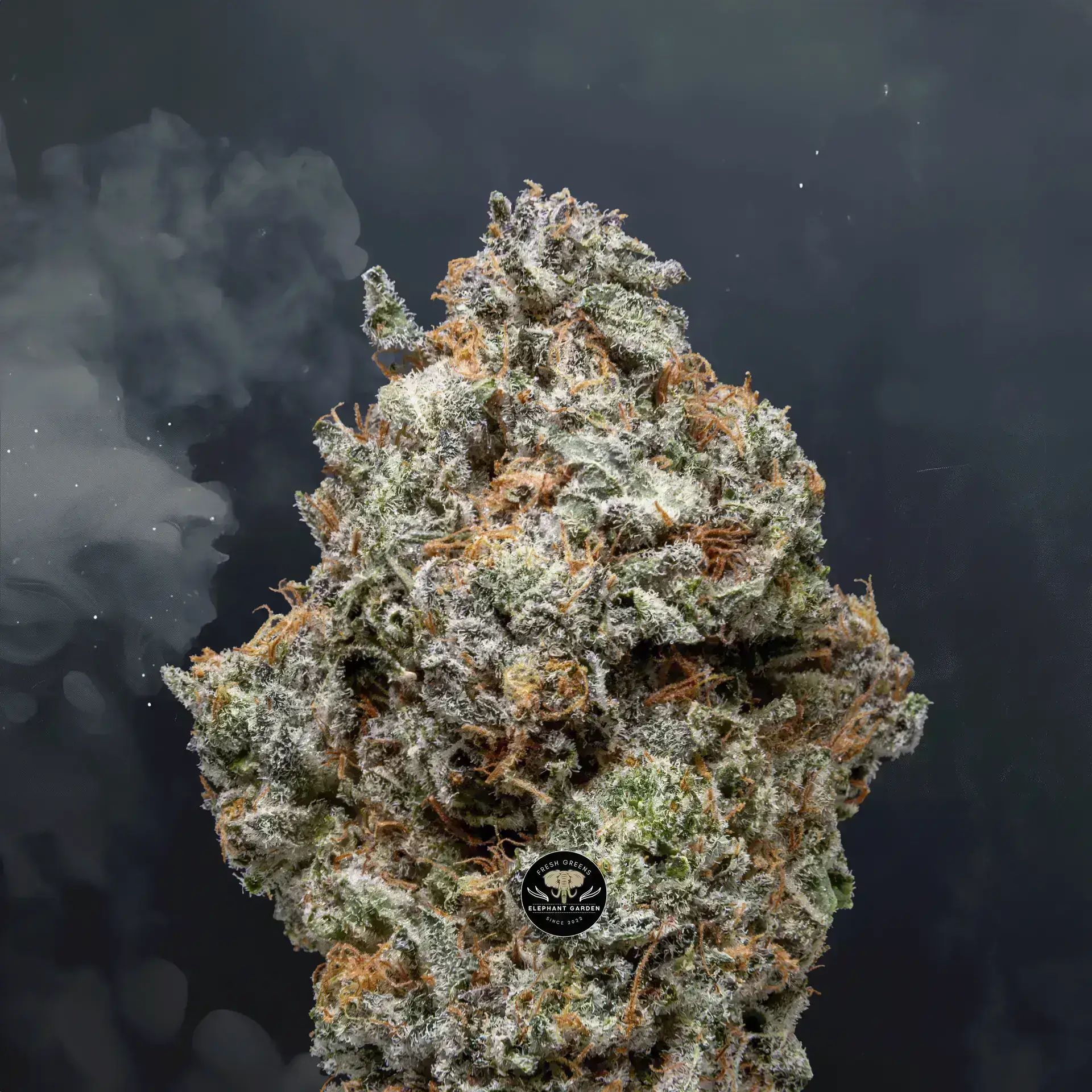 Buy Chem Pie OG at Elephant Garden Co Weed Dispensary Close 8 7 24 2