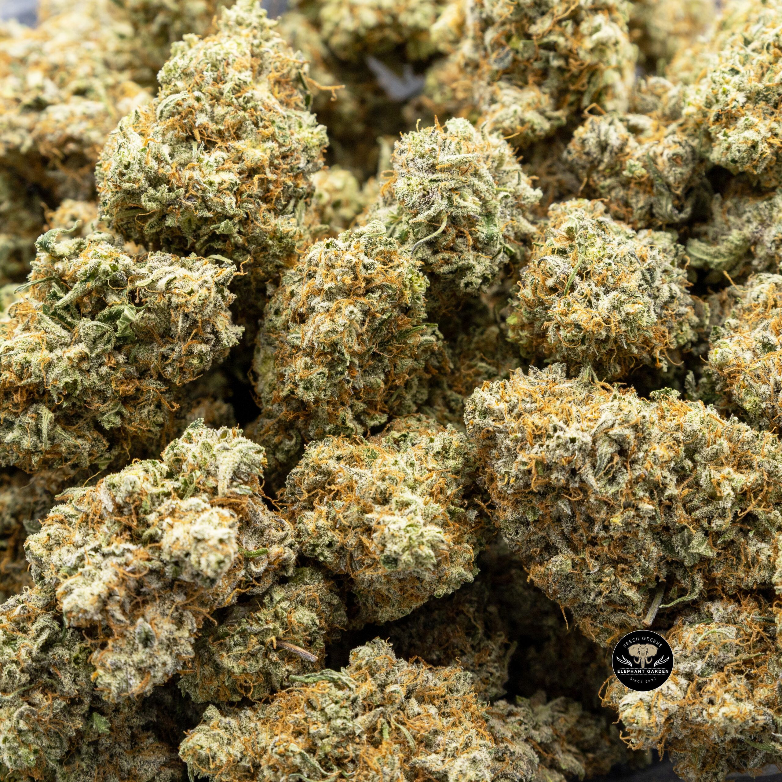 Buy Kish at Elephant Garden Co Weed Dispensary Online Canada Bulk