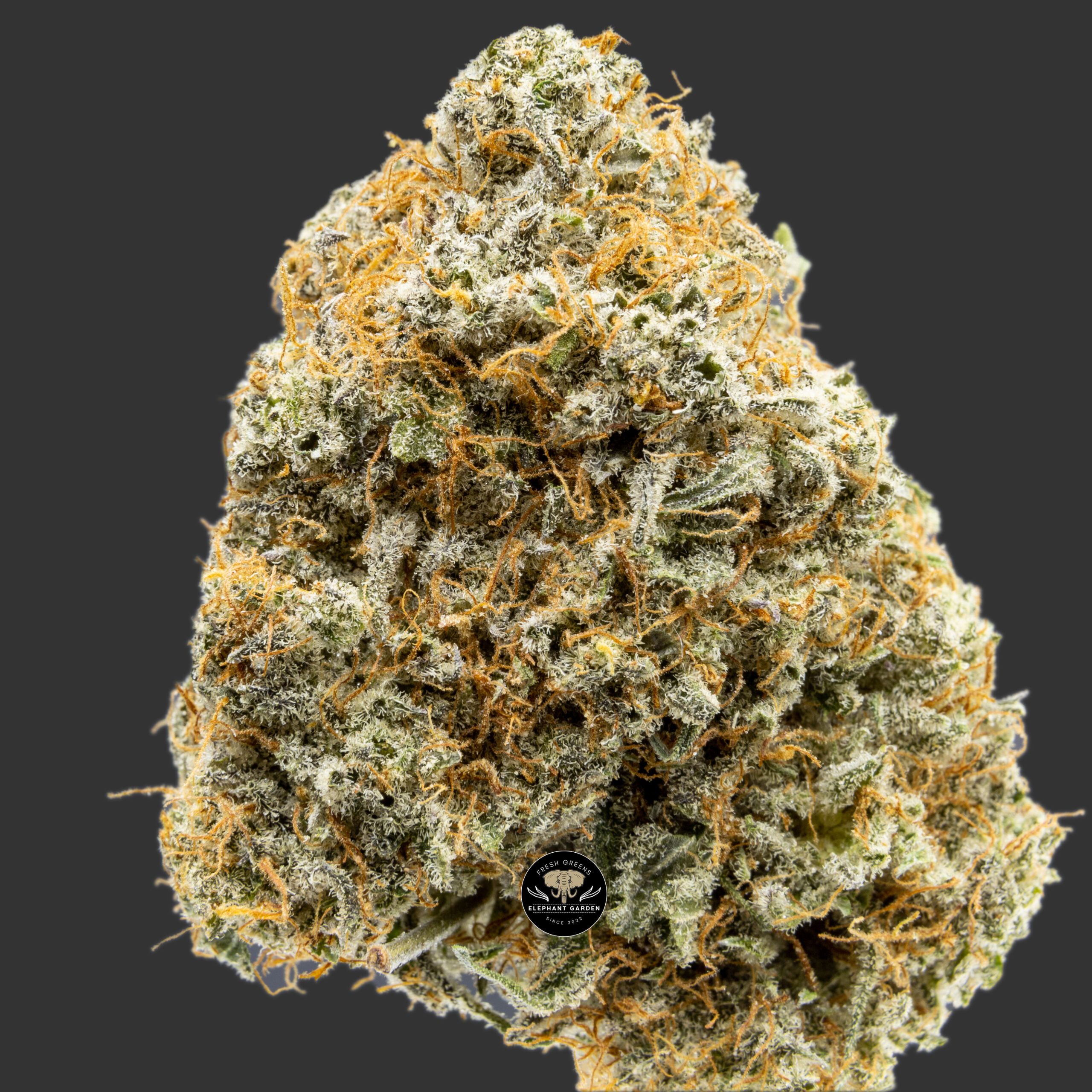 Buy Kish at Elephant Garden Co Weed Dispensary Online Canada Close 6.1.2023