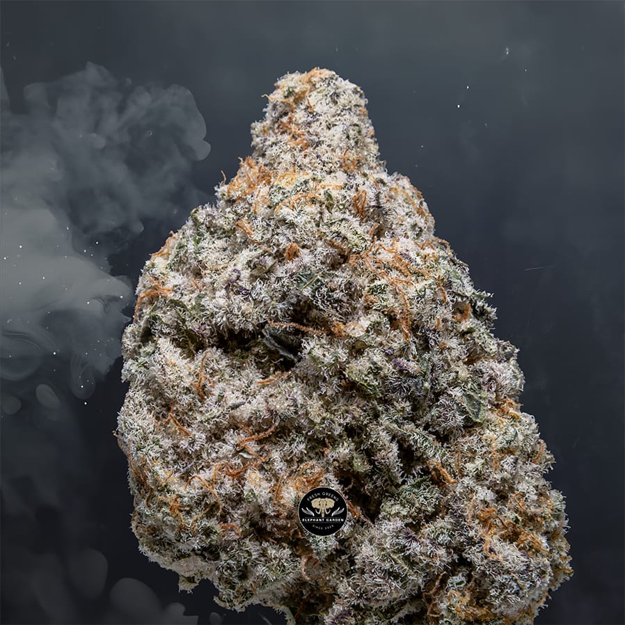 Banana Mac - Hybrid - AAA