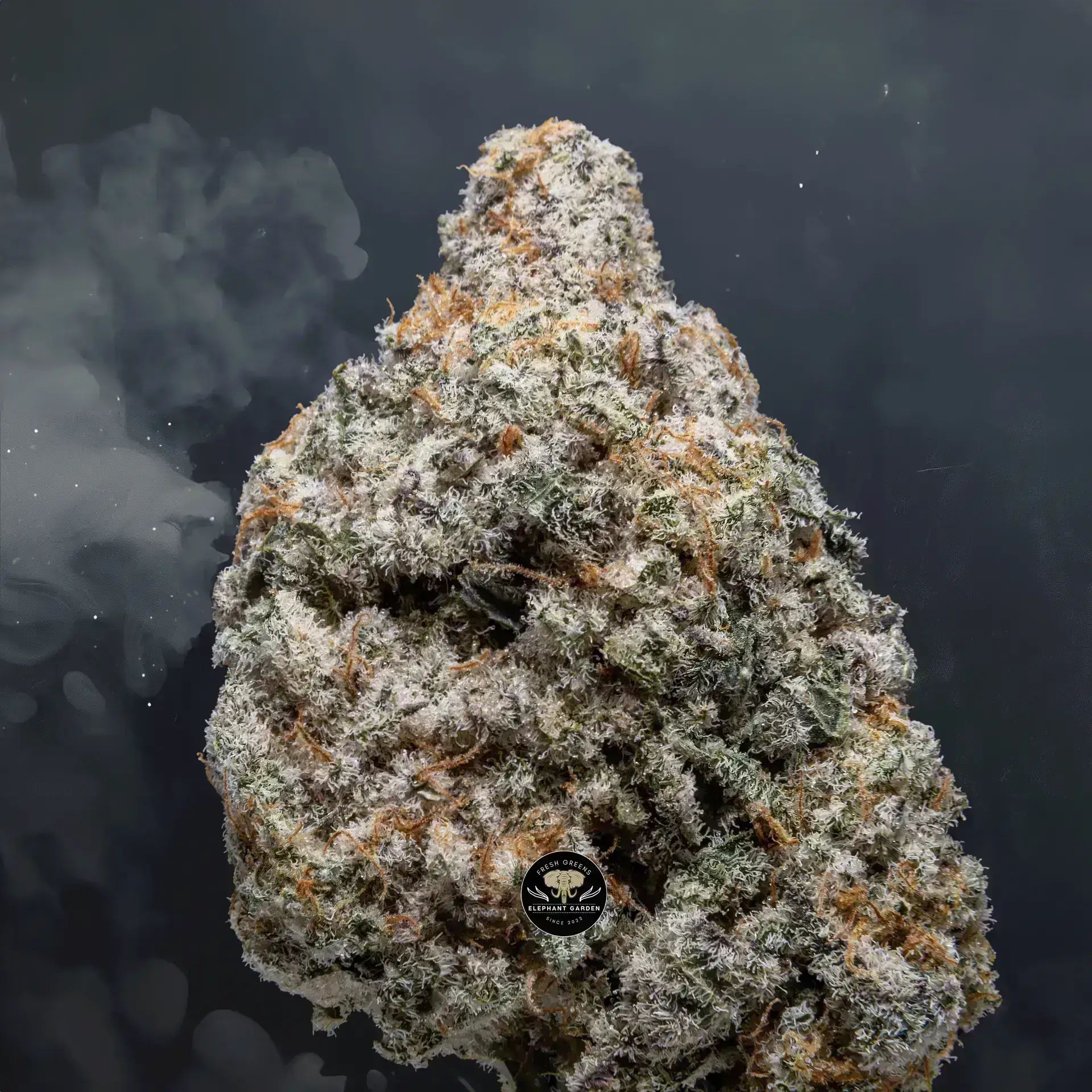 Banana Mac (Bulk) - Hybrid - AAA - Image 3