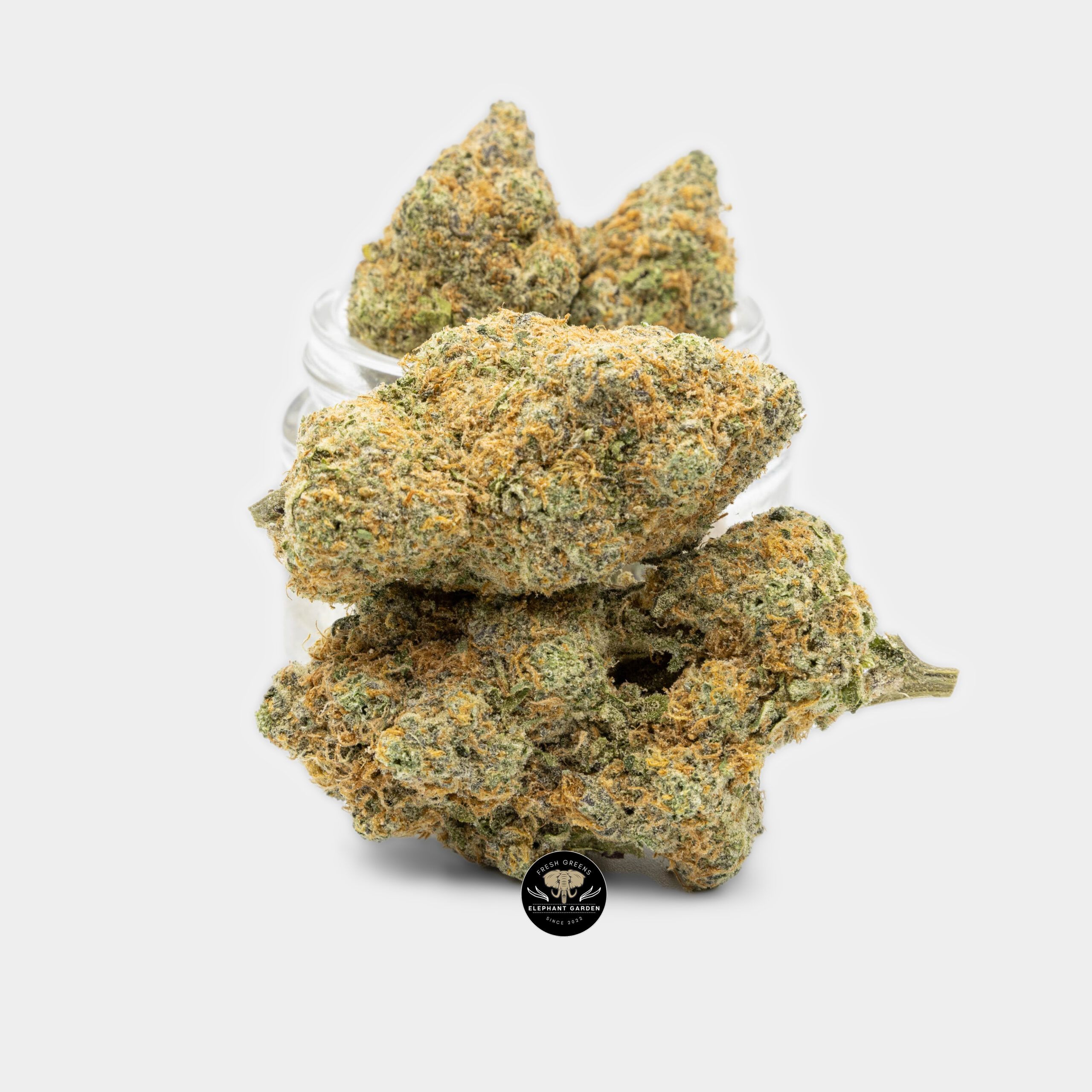 Buy Maui Berry at Elephant Garden Co Weed Dispensary Bundle