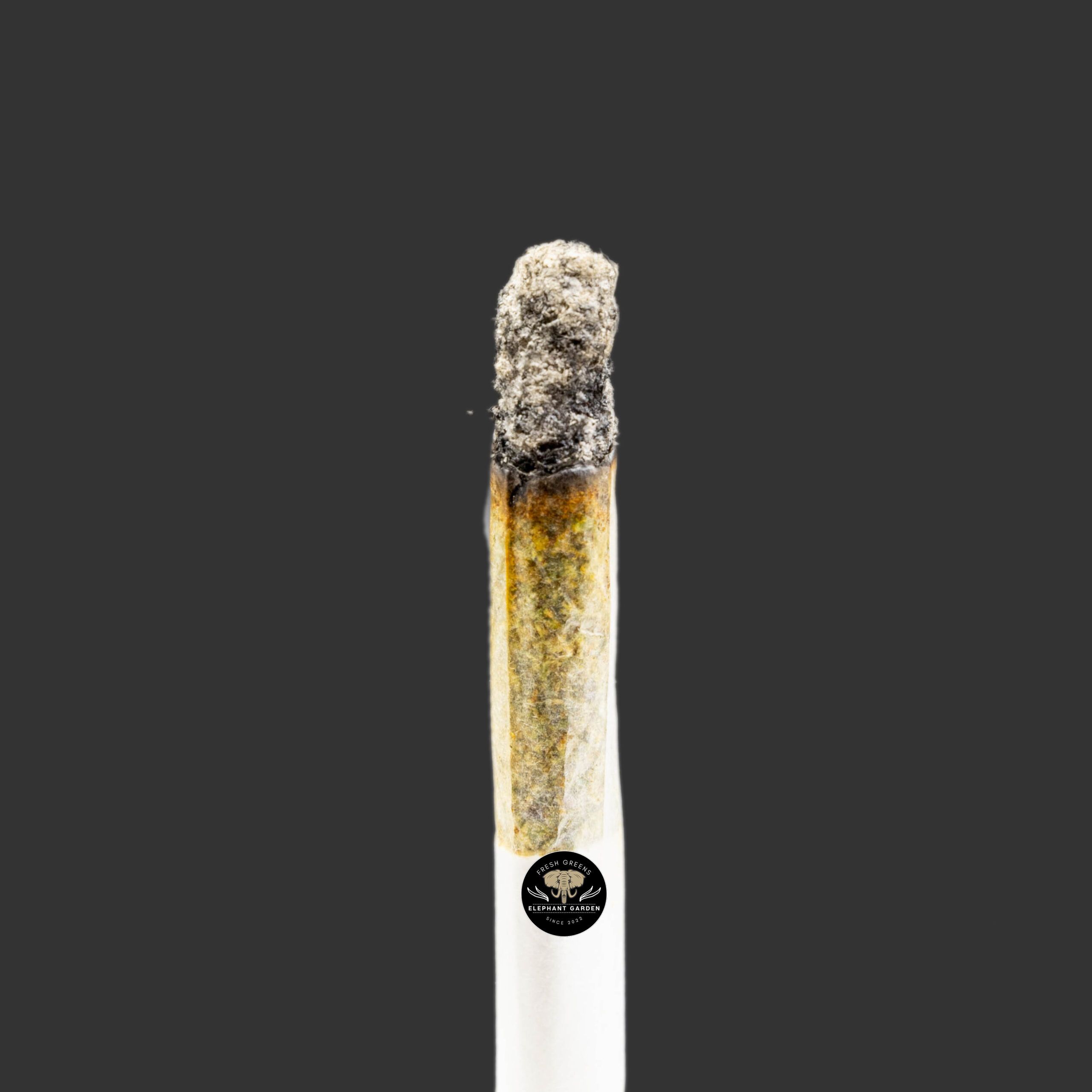 Buy Nightmare Cookies at Elephant Garden Co Weed Dispensary Burn Test 6.23.2023