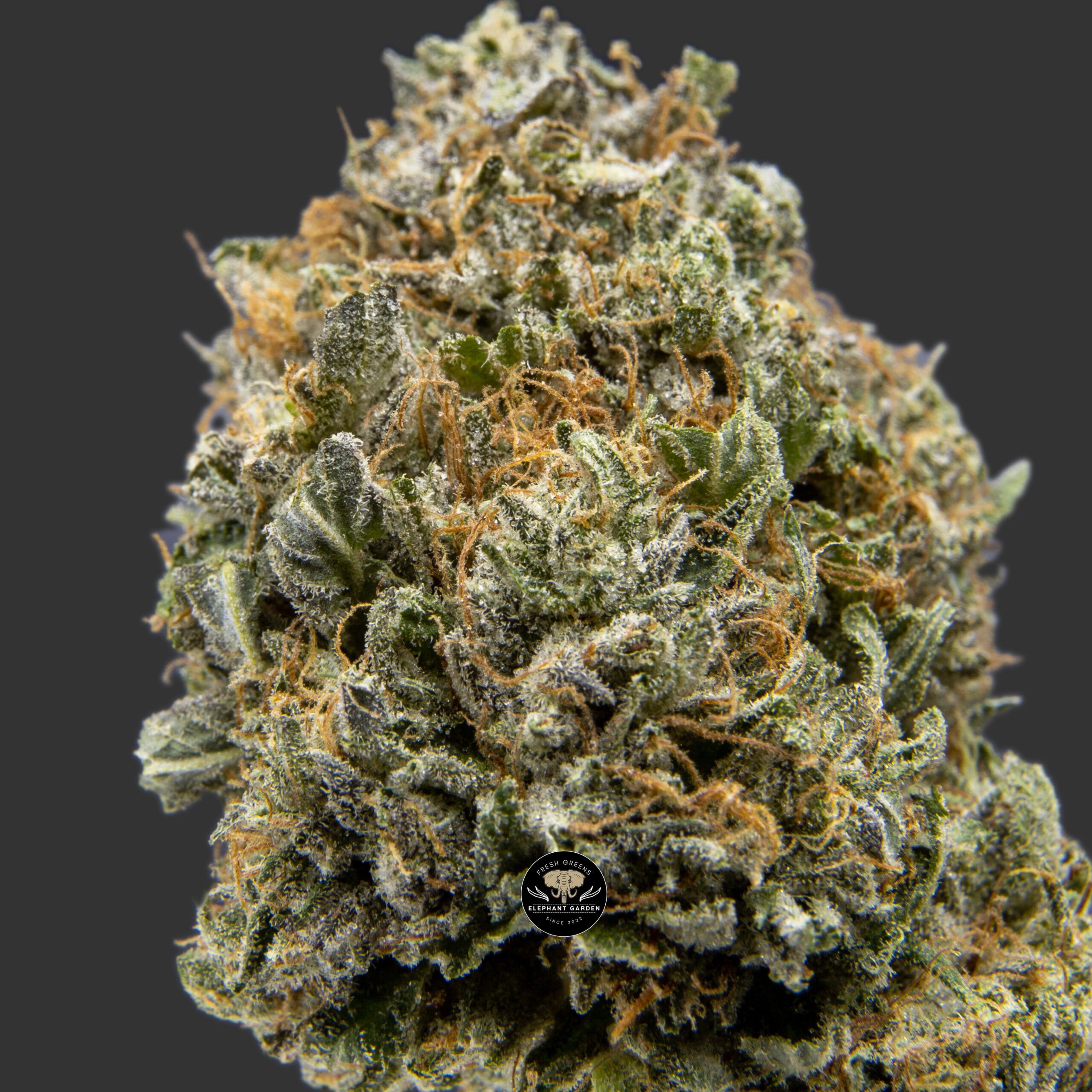 Buy MK Ultra at Elephant Garden Co Weed Dispensary Online Canada Close