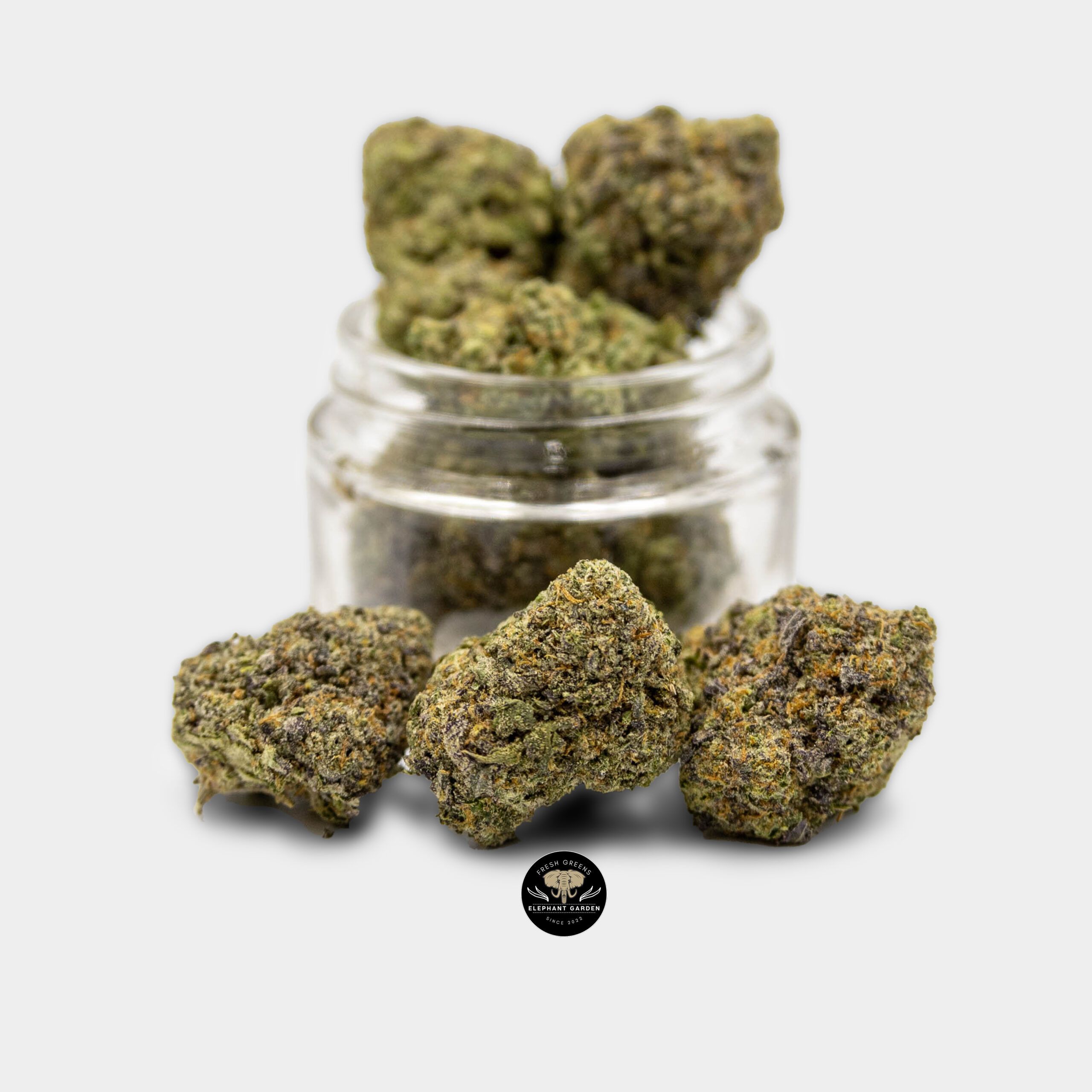 Buy Puple Urkle at Elephant Garden Co Weed Dispensary Online Canada Bundle