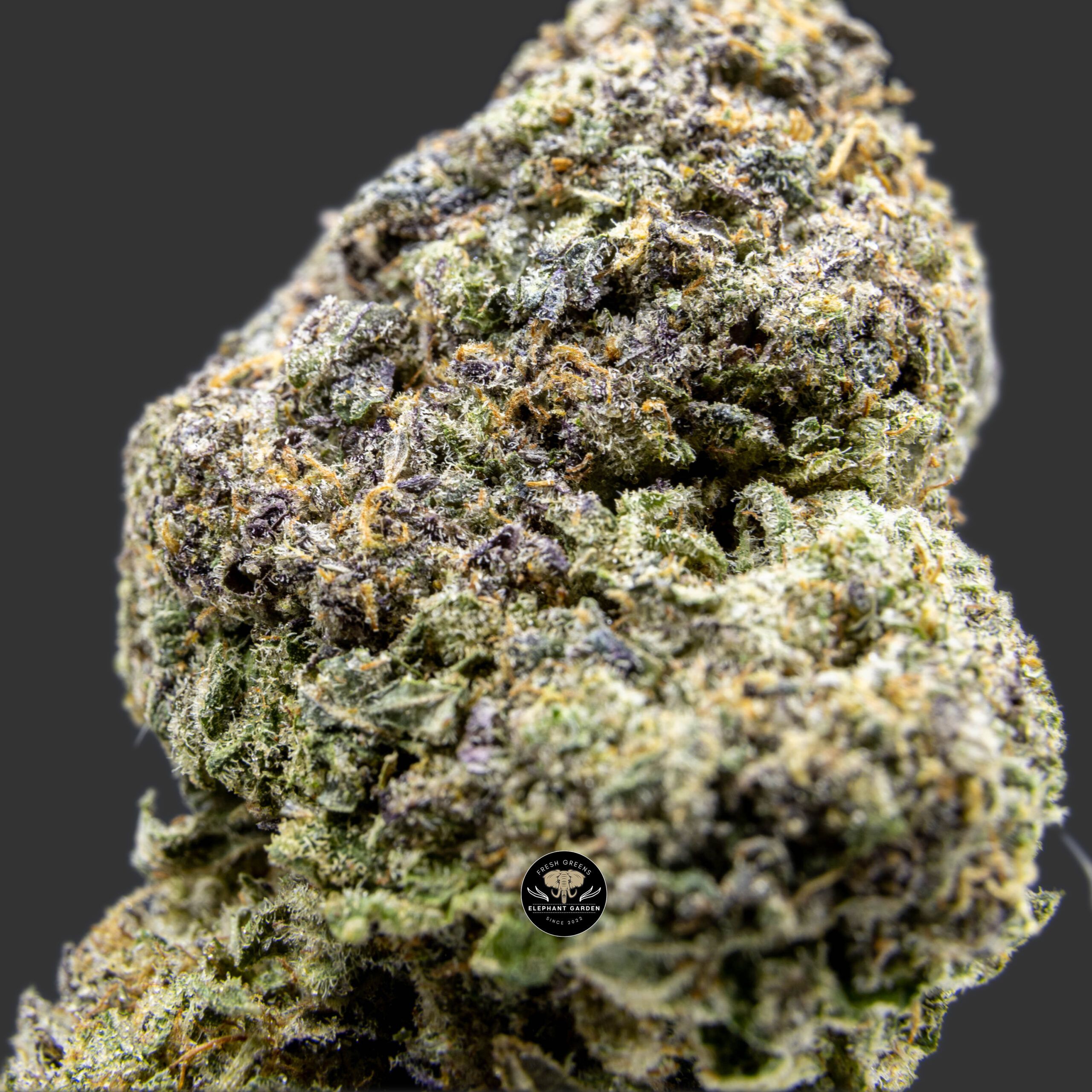 Buy Puple Urkle at Elephant Garden Co Weed Dispensary Online Canada Close