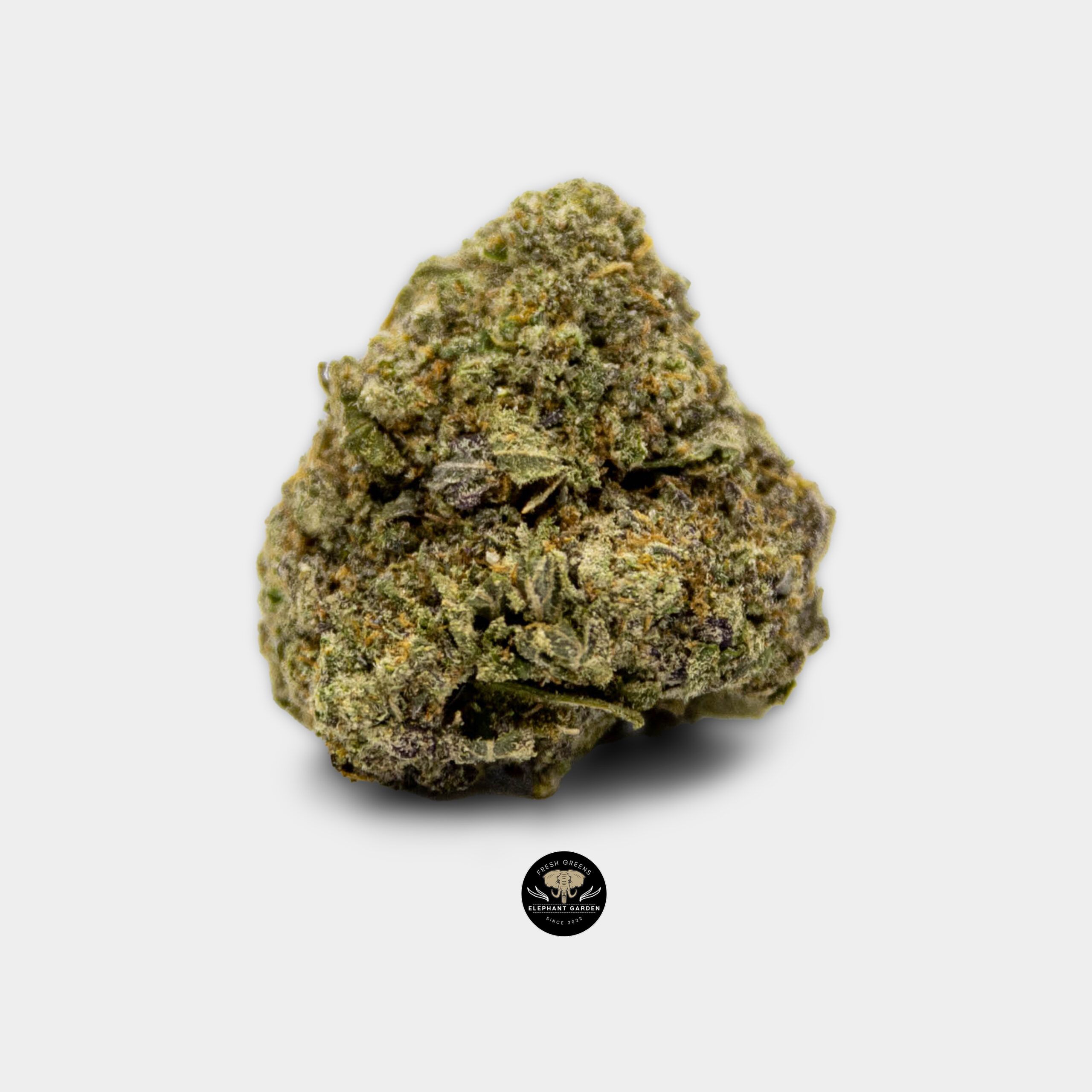 Buy Puple Urkle at Elephant Garden Co Weed Dispensary Online Canada Single