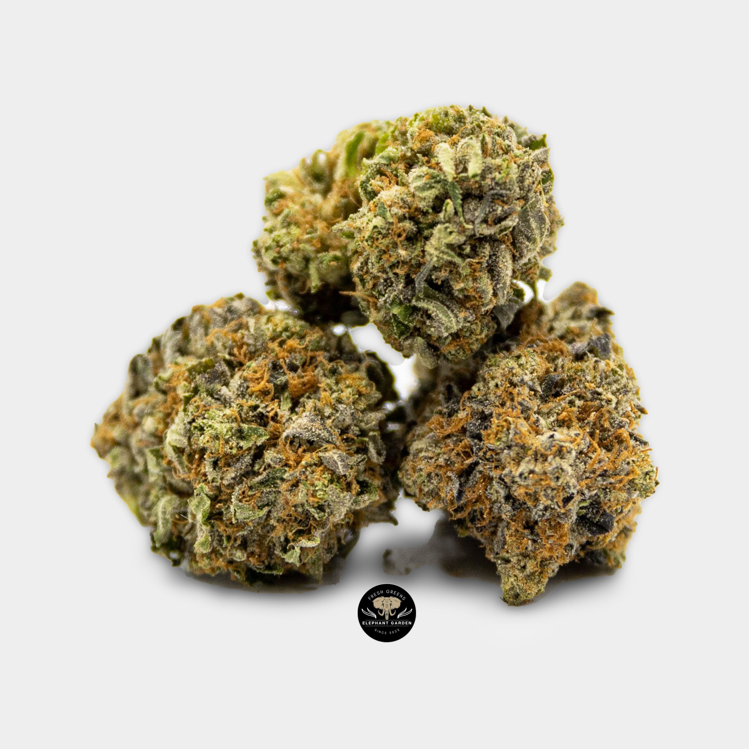 Buy Rockstar 3 at Elephant Garden Co Weed Dispensary Online Canada Bundle