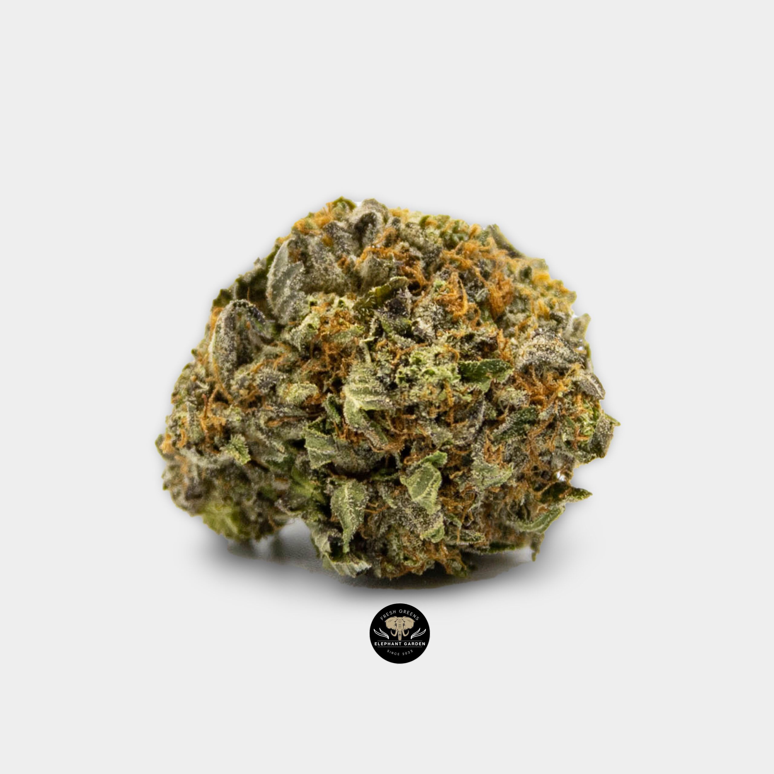 Buy Rockstar 3 at Elephant Garden Co Weed Dispensary Online Canada Single