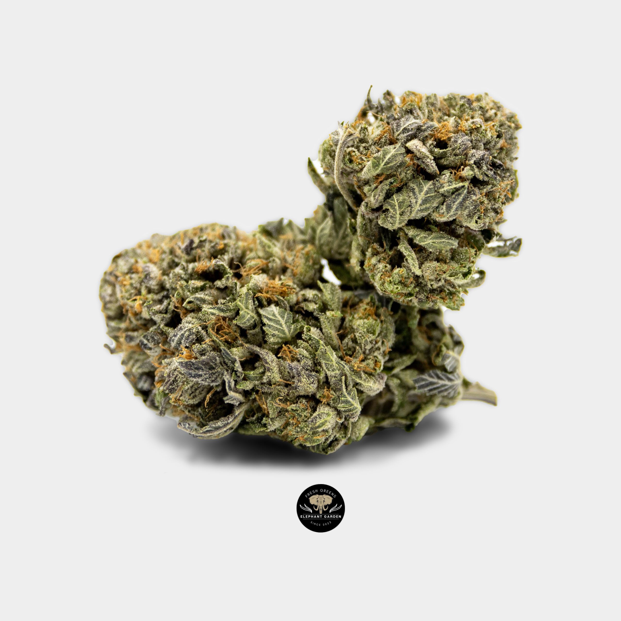 Buy Organic Pink Kush at Elephant Garden Co Weed Dispensary Online Canada Single