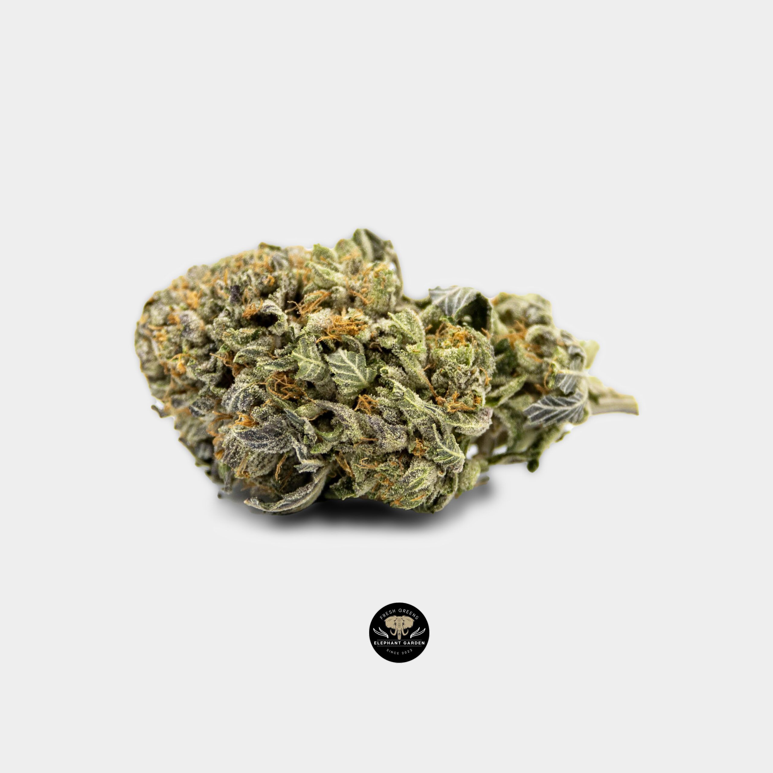 Buy Organic Pink Kush at Elephant Garden Co Weed Dispensary Online Canada Single