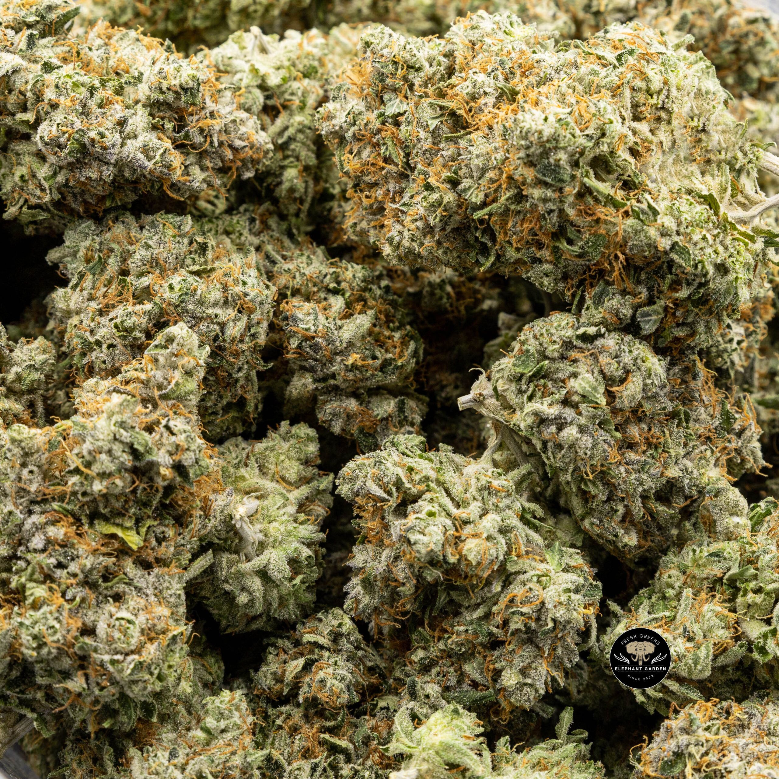 Buy Taho OG at Elephant Garden Co Weed Dispensary Online Canada Bulk
