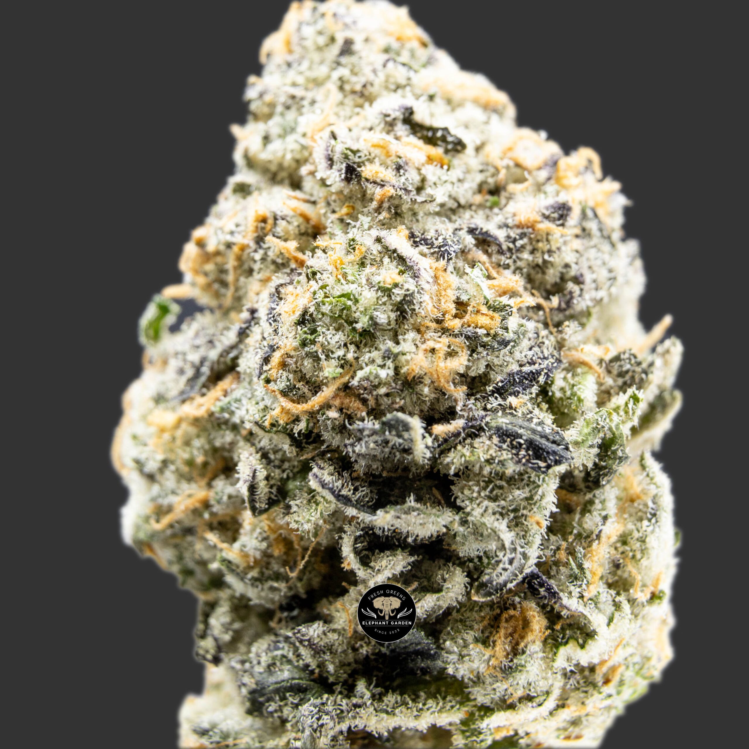Buy Pink Kush at Elephant Garden Co Weed Dispensary Online Canada Bundle