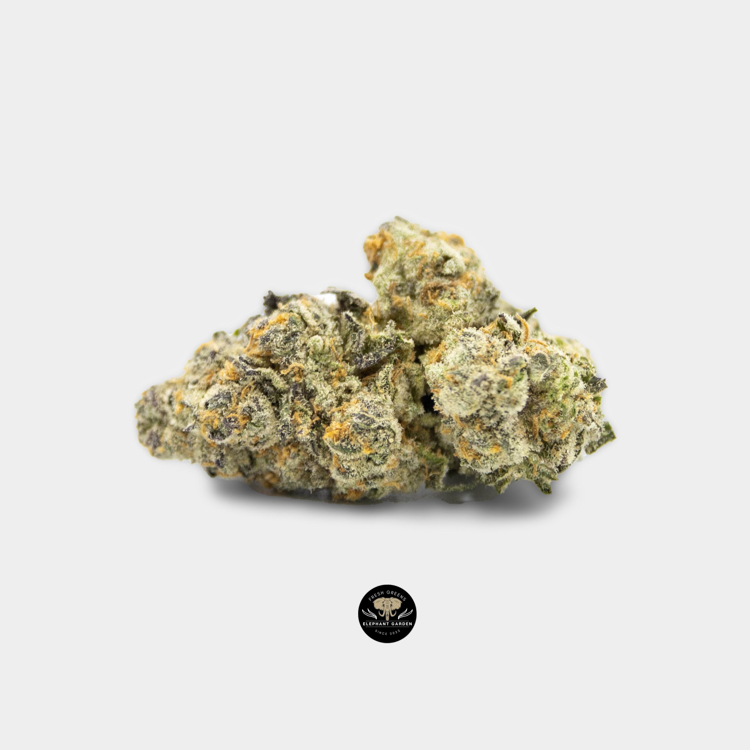 Buy Strawberry and Cream at Elephant Garden Co Weed Dispensary Online Canada Single