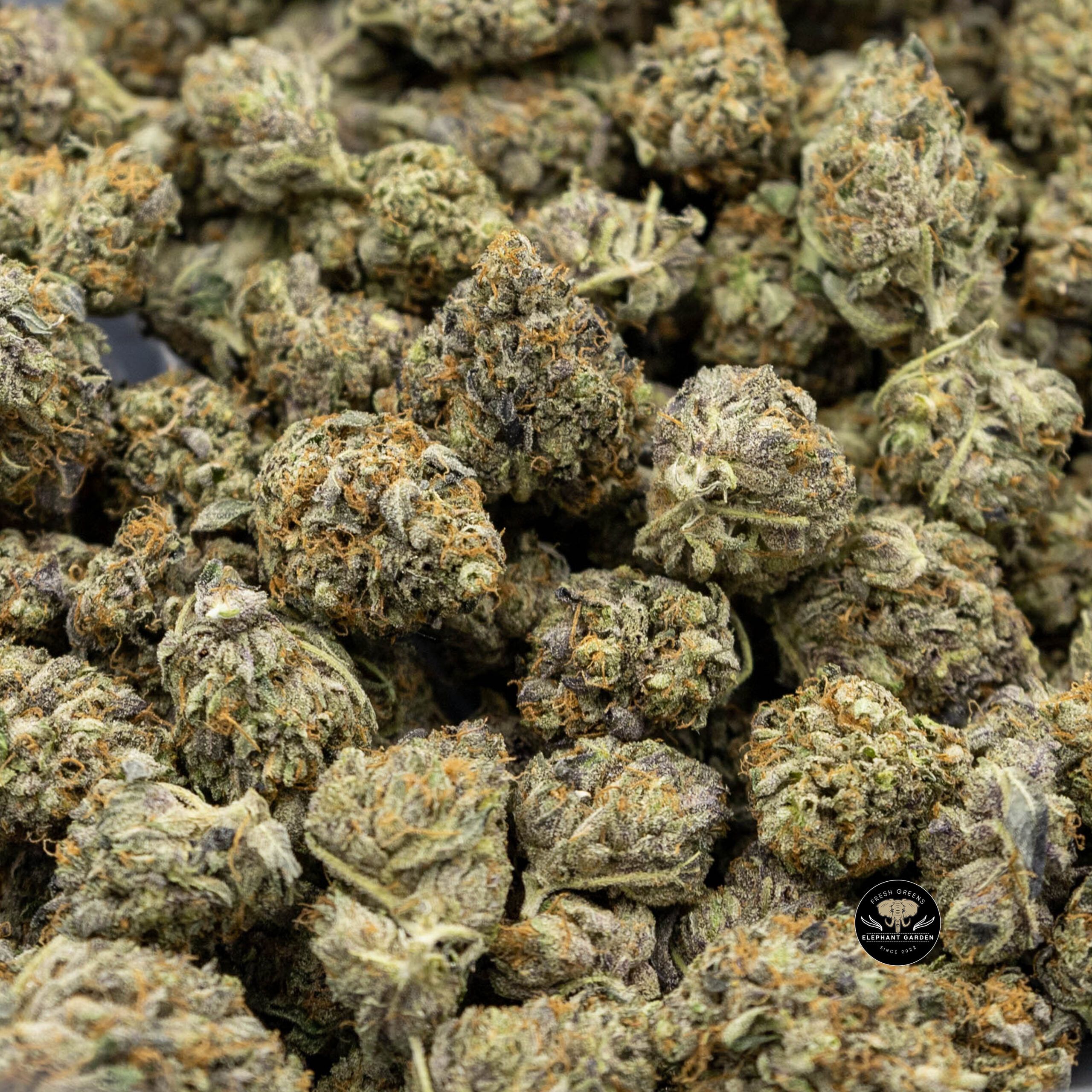 Buy Pink Kush at Elephant Garden Co Weed Dispensary Online Canada Bundle