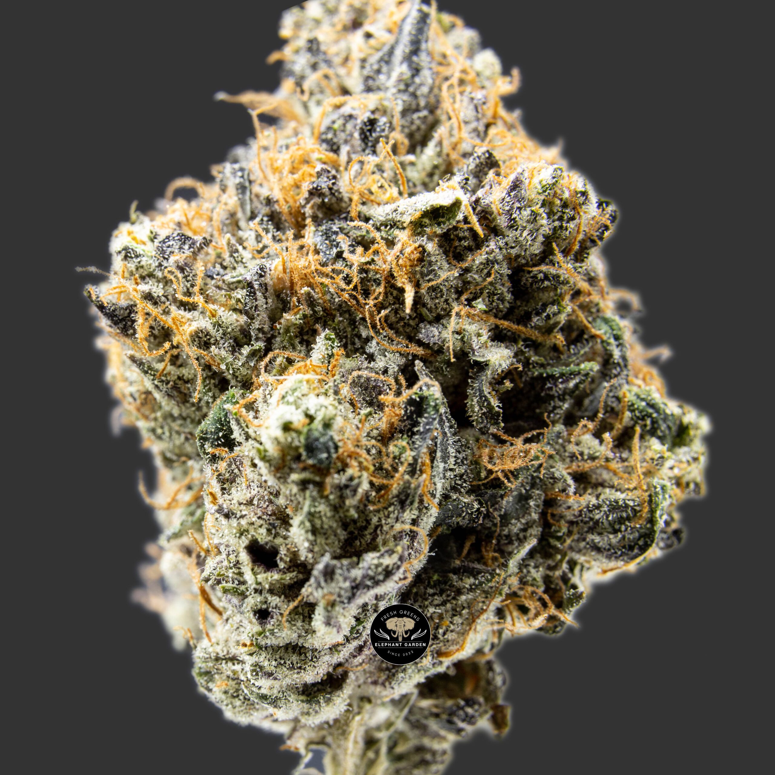 Buy Pink Kush at Elephant Garden Co Weed Dispensary Online Canada Bundle