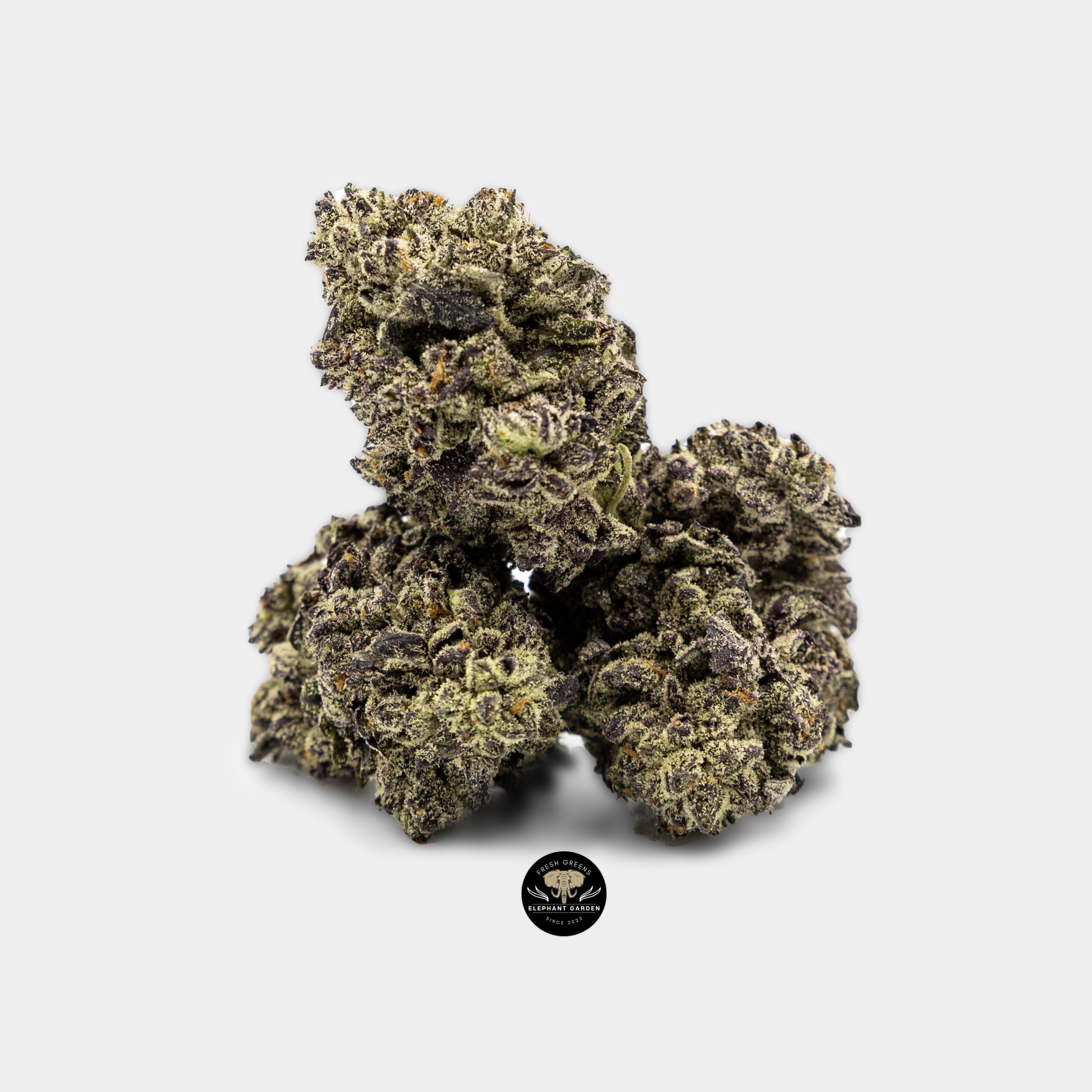 Tessen labs ProTessen labs Promo Banner at Elephant Garden Co