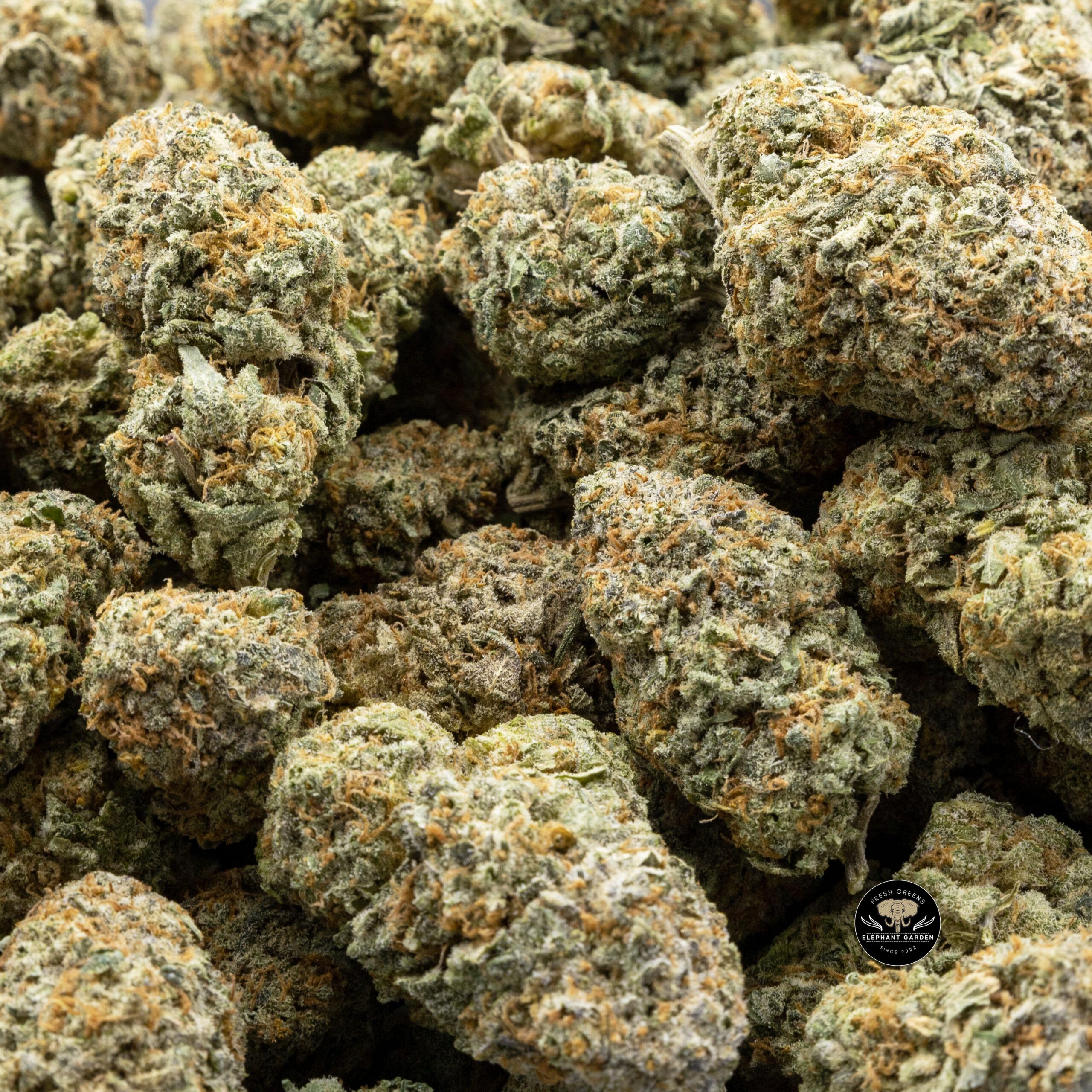 Cherry Kush (Bulk) at Elephant Garden Co Weed Dispensary Bulk