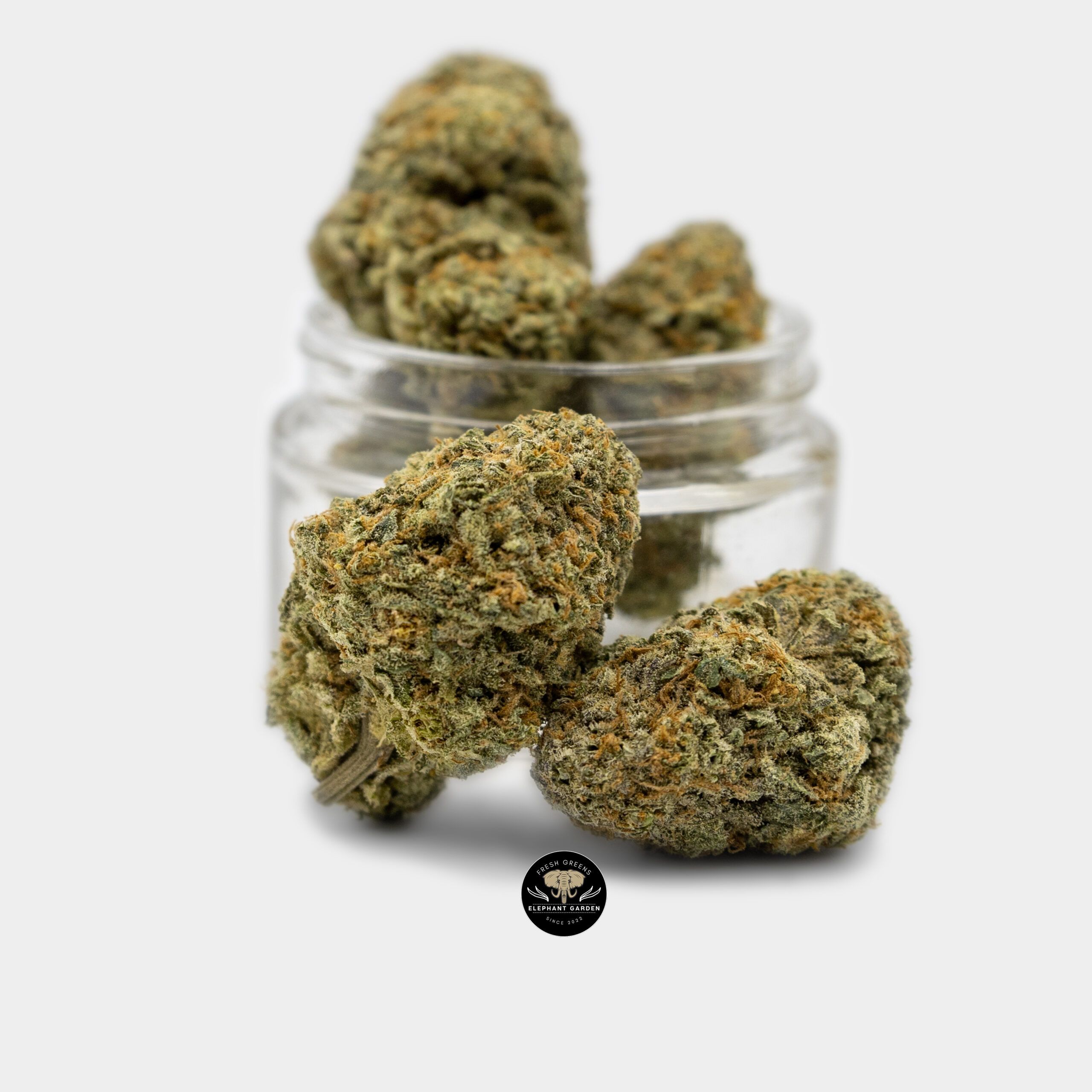 Buy Cherry Kush at Elephant Garden Co Weed Dispensary Bundle