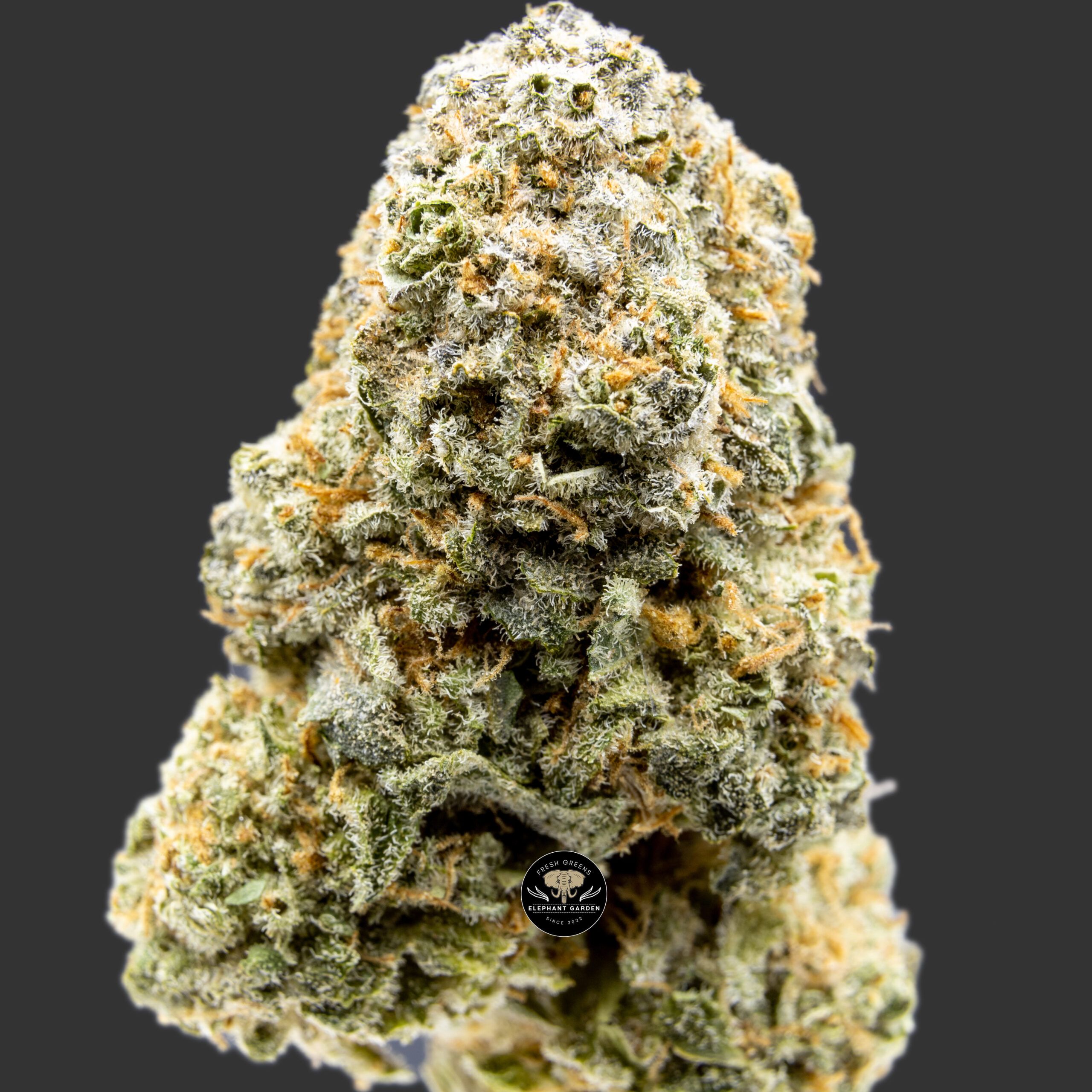 Buy Cherry Kush at Elephant Garden Co Weed Dispensary Close