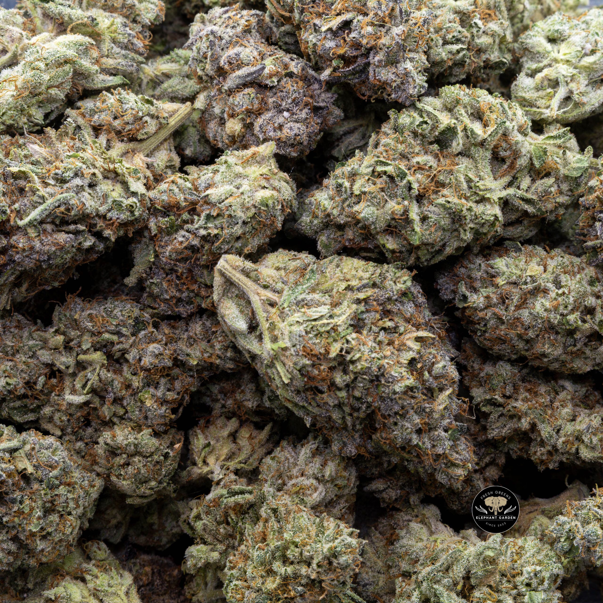 Buy Frosted Fruit Cake (Bulk) at Elephant Garden Co Weed Dispensary Bulk 10_30_2023 3
