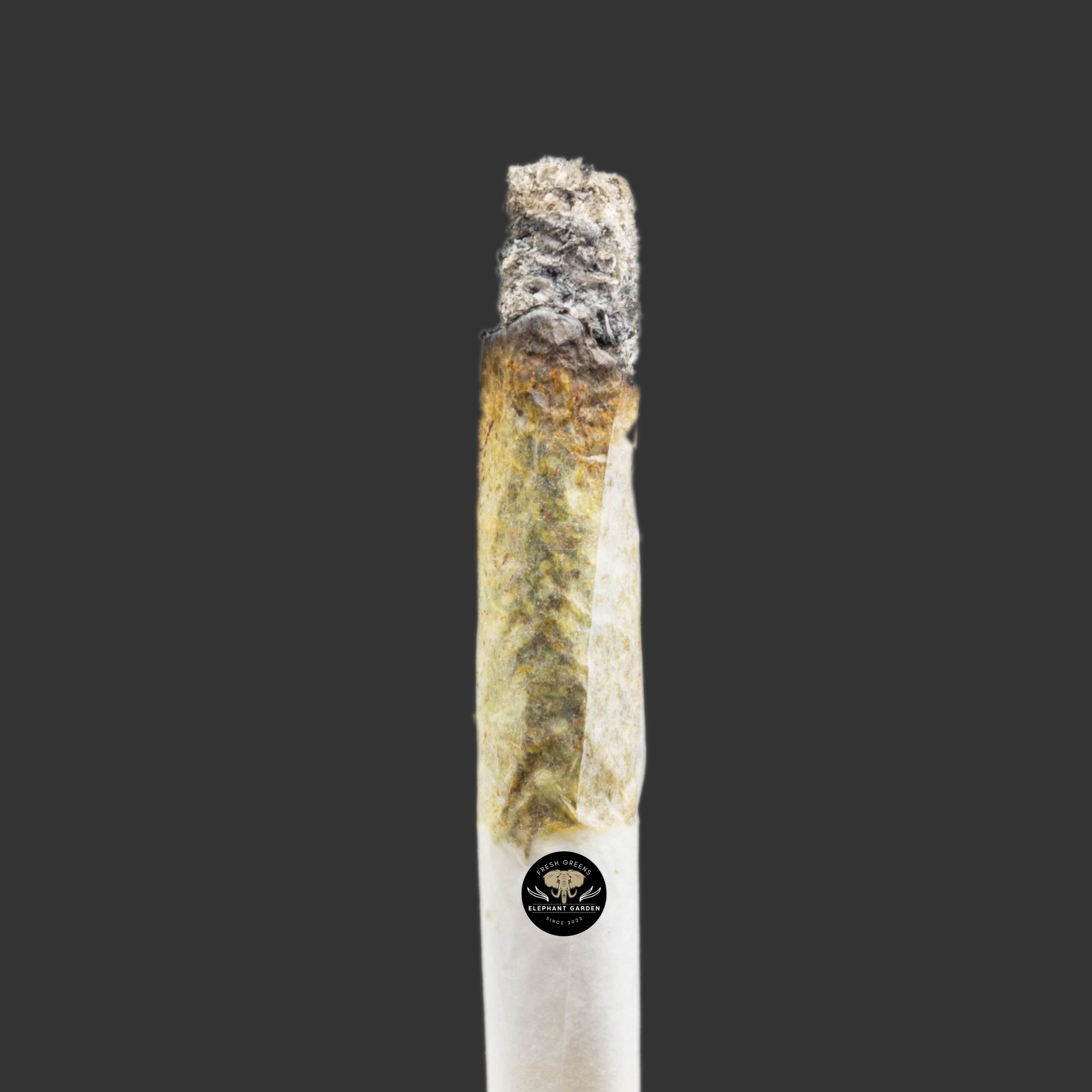 Buy Frosted Fruit Cake at Elephant Garden Co Weed Dispensary Burn Test 10_30_2023 2