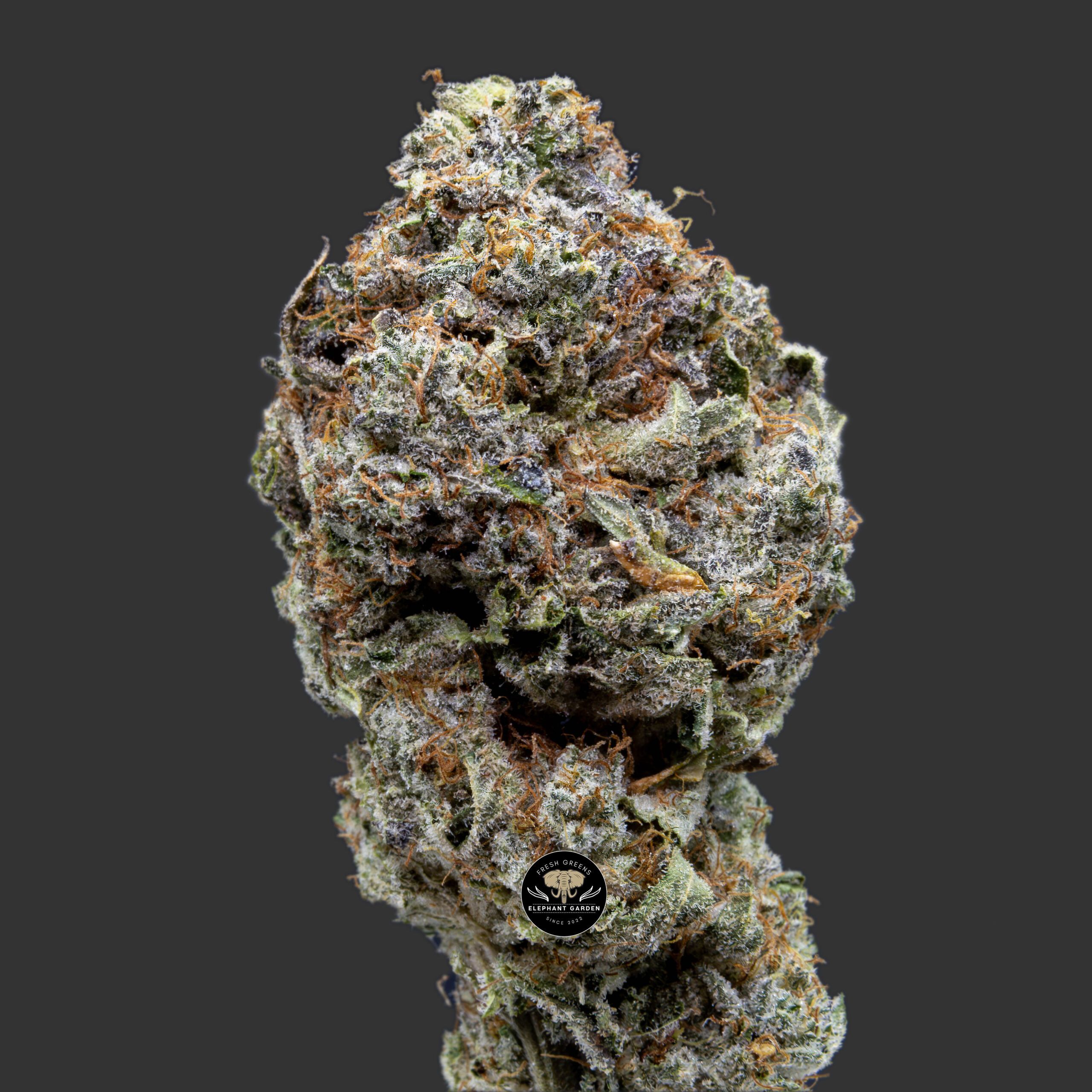 Buy Frosted Fruit Cake at Elephant Garden Co Weed Dispensary Close 10_30_2023 2