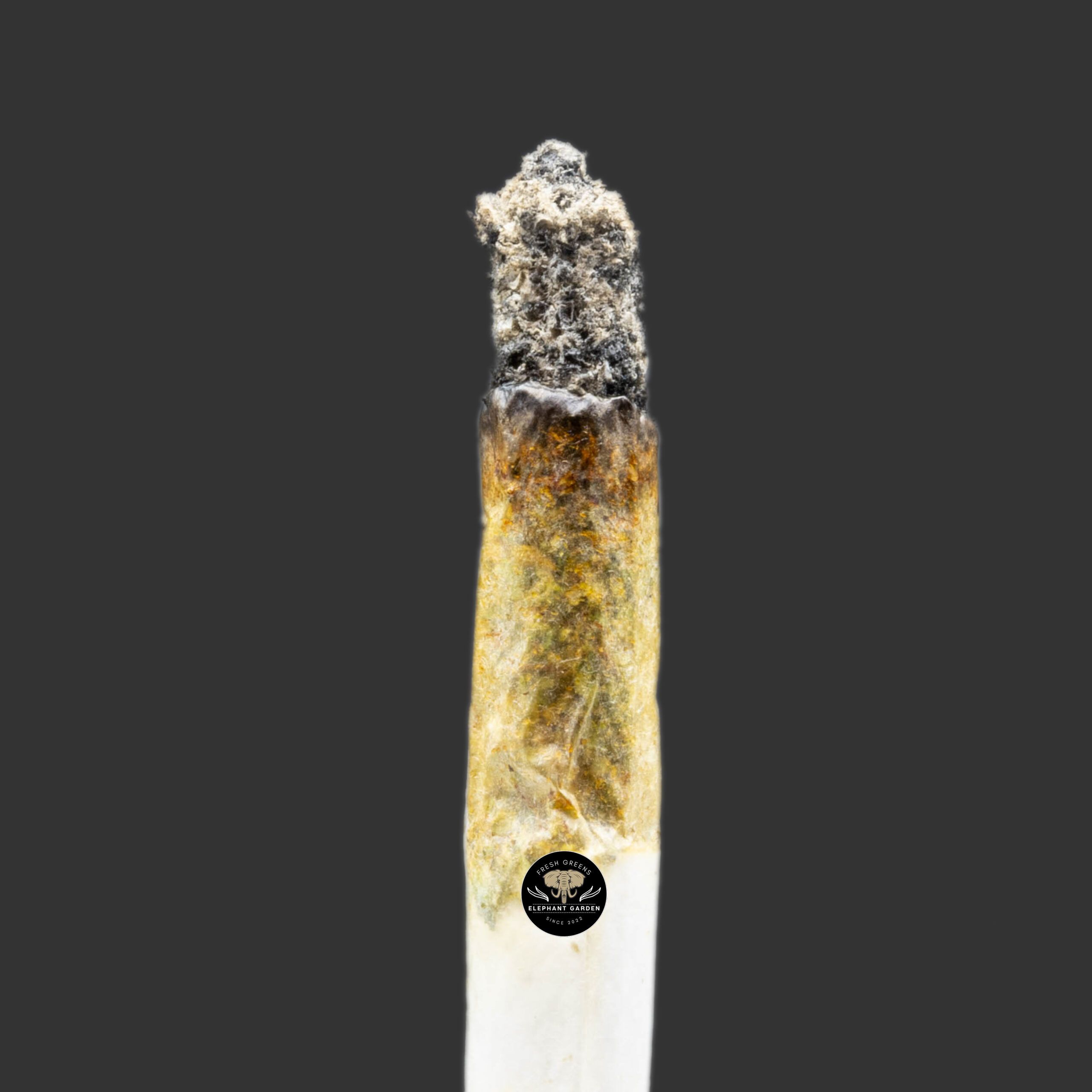 Buy Gas Berry at Elephant Garden Co Weed Dispensary Burn Test 10_30_2023 2