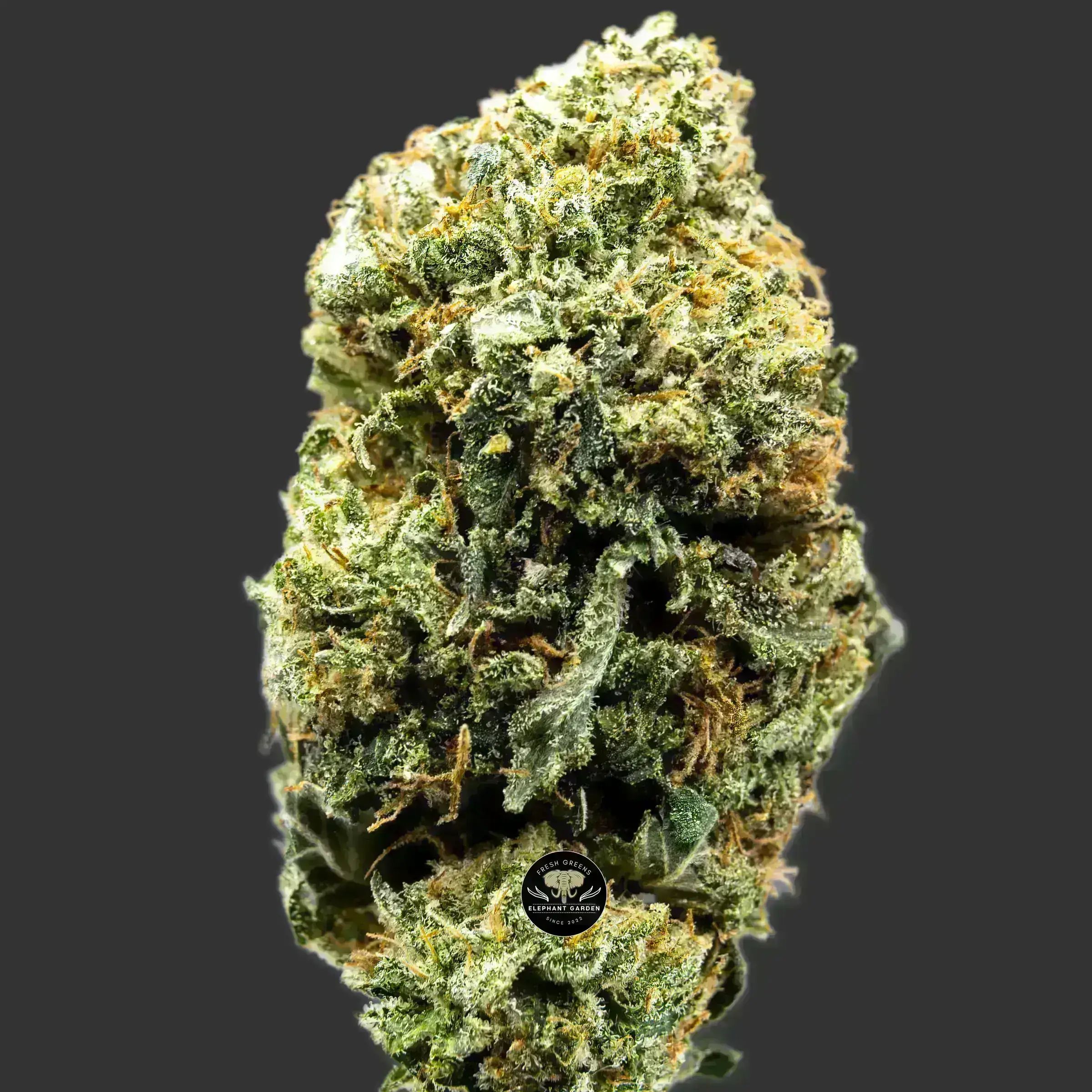 Buy Island Pink at Elephant Garden Co Weed Dispensary Close 10.3.2023