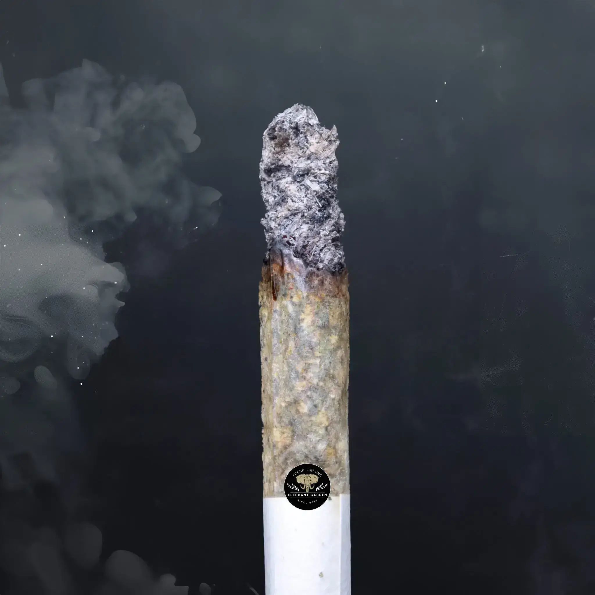 Buy Pine Tar at Elephant Garden Co Weed Dispensary Burn Test 8 7 2024 2