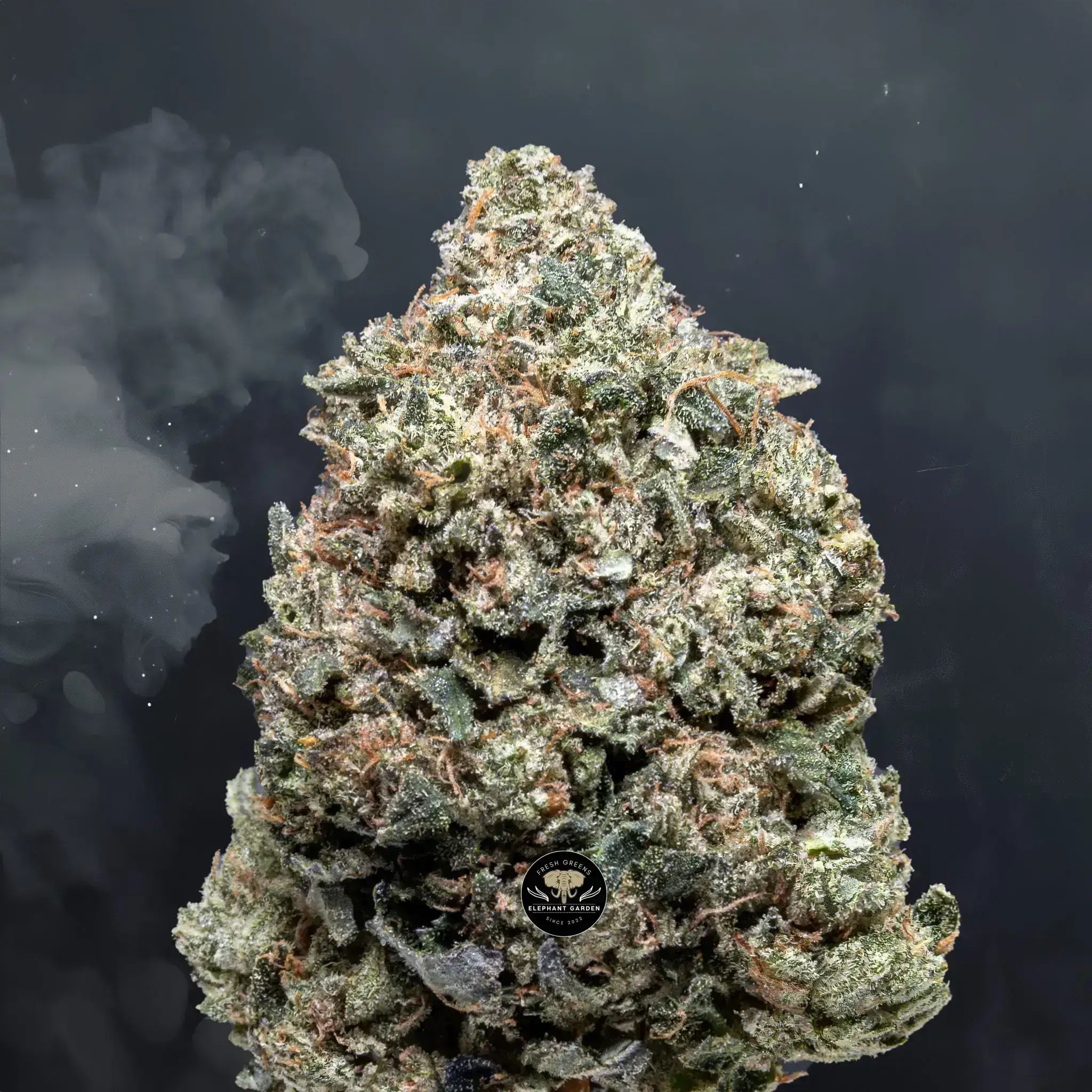 Buy Pine Tar at Elephant Garden Co Weed Dispensary Close 8 7 24 2