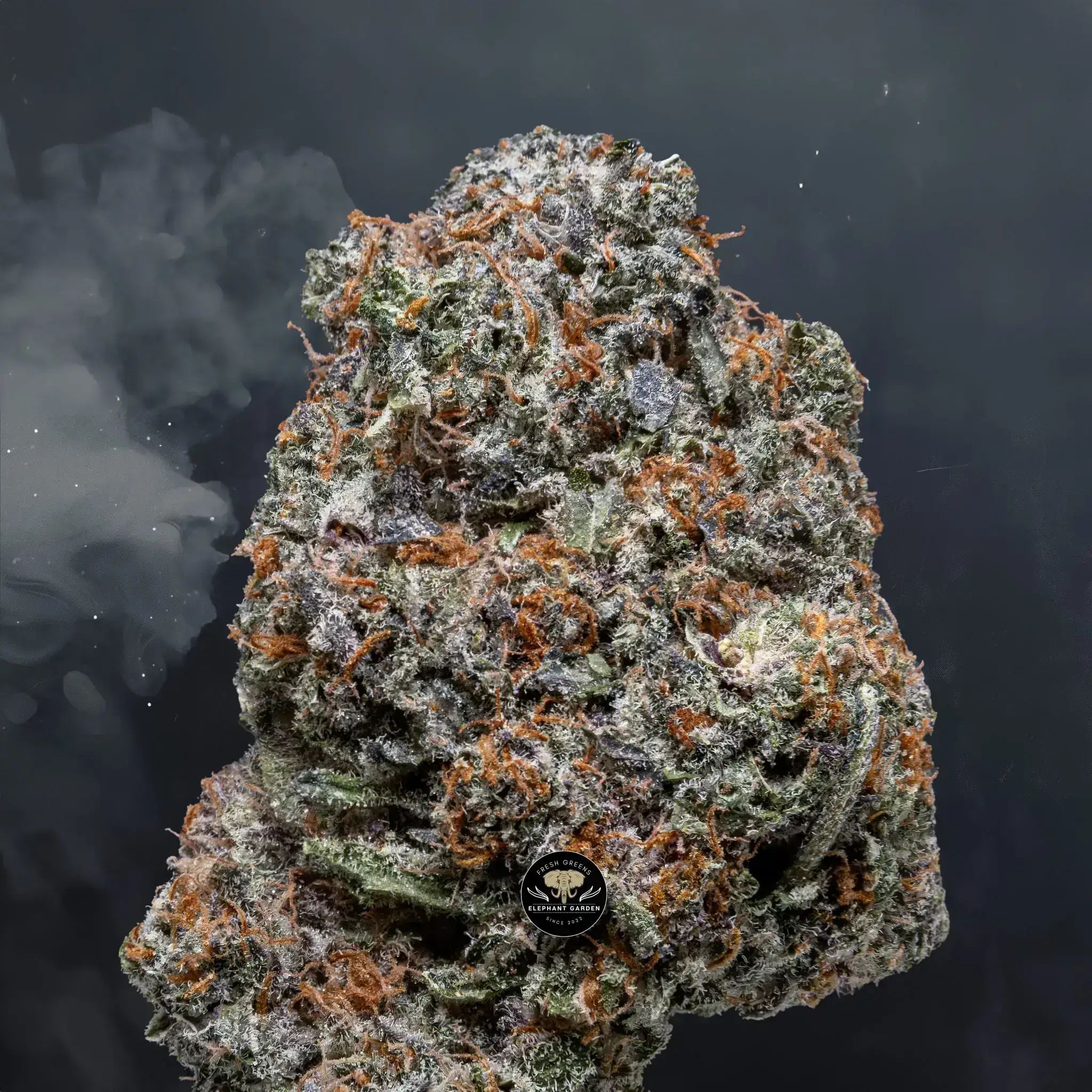 Buy Purple Punch at Elephant Garden Co Weed Dispensary Close 8 7 24 2