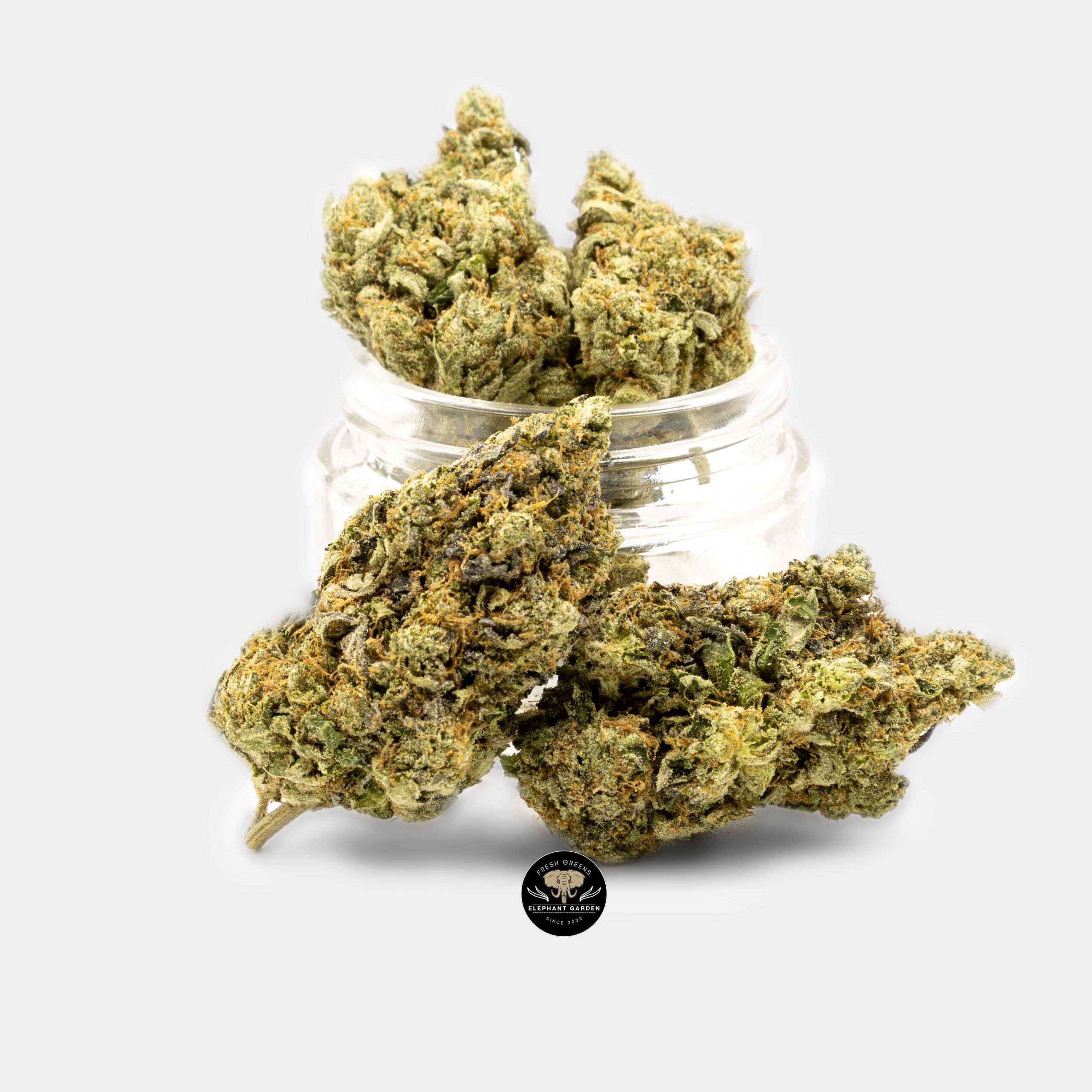 Buy Spec Ops at Elephant Garden Co Weed Dispensary Bundle 2