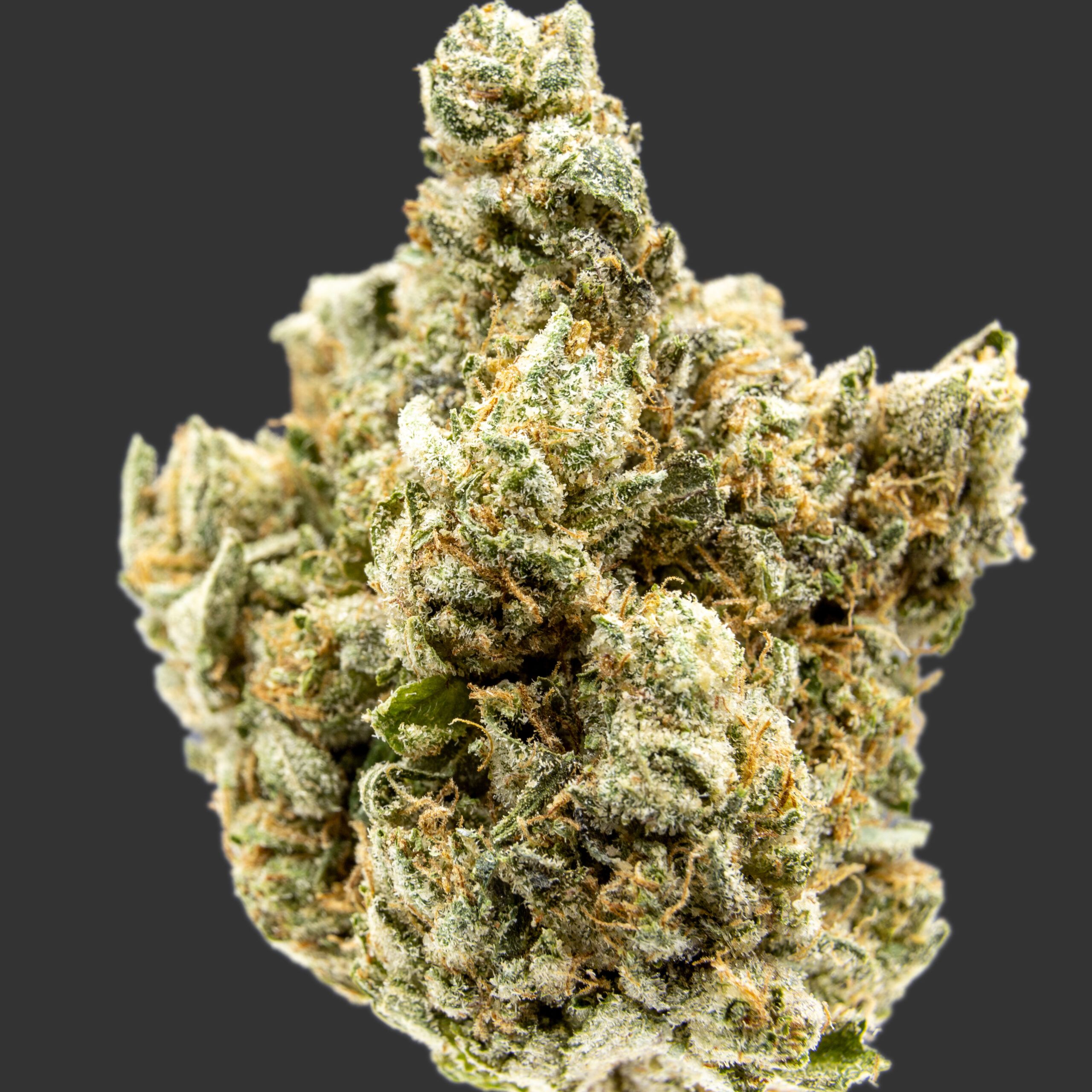 Buy Spec Ops at Elephant Garden Co Weed Dispensary Burn Test 2