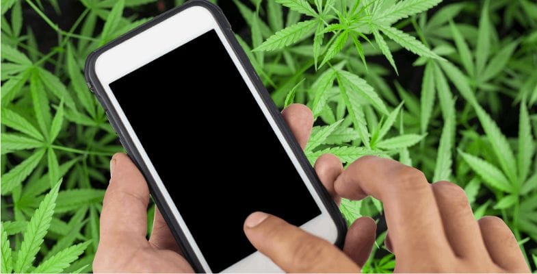 When it comes to purchasing cannabis in Canada, there are two primary options: buying from a physical cannabis shop or opting for the convenience of an online weed dispensary.  