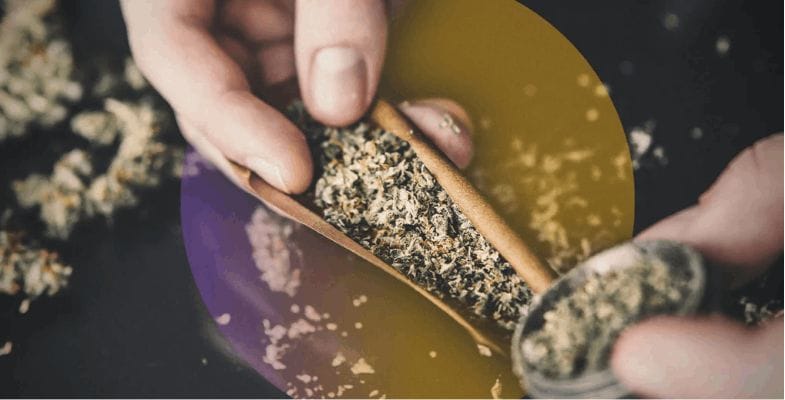 Have some Kief and iron hanging around? So, with those ideal items, you're set to take off on a shatter-making expedition. Prepare for some Kief-infused excitement!