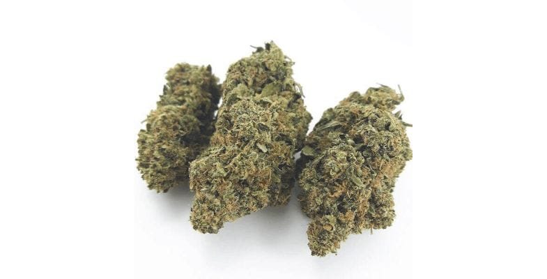 This star strain has gained a loyal following for its captivating appearance, potency, aroma, flavour, and robust effects. But is the Pink Death Star strain worth buying online in Canada?