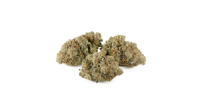 Pink Death Star Strain has been described as a creeper as the heavy effects kick in after some time. The Pink Death high kicks in minutes after your first toke and starts by taking hold of your mind, uplifting your mood and numbing all the stress.
