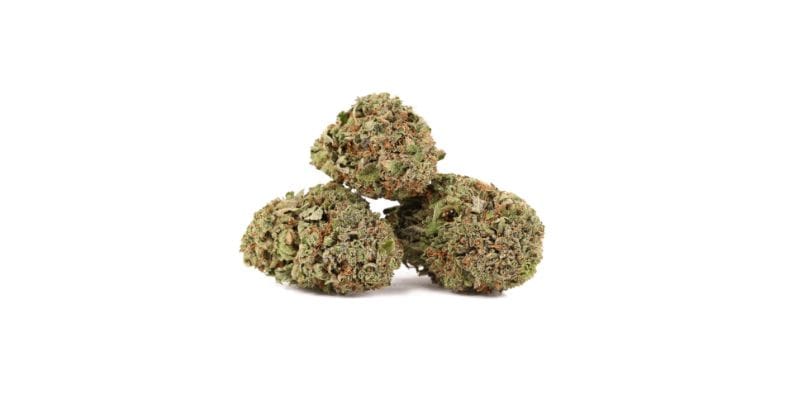 The Rock Tuna strain's terpene profile is a symphony of some very cool players. Let's shine the spotlight on the three headliners 