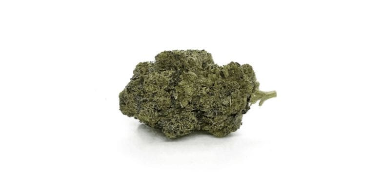 As is typical of indica and indica dominant hybrids, the nugs are spade-shaped and dense. The buds also have some weight to them despite being of medium size.  