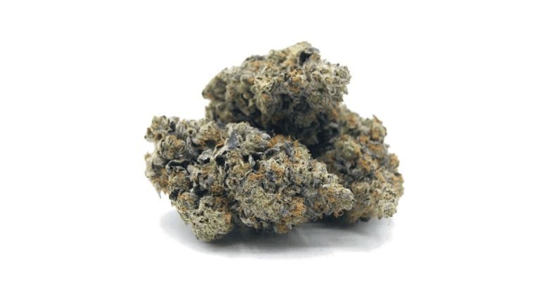 This strain is highly potent. It has an intensely high THC level that tests between 27% and 29% on average.