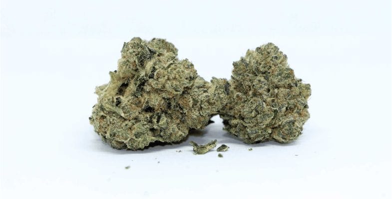 Blueberry Rockstar is an indica-dominant hybrid strain with an 80:20 indica to sativa genetics. This strain is known for being insanely potent and as a cross of two classic buds.