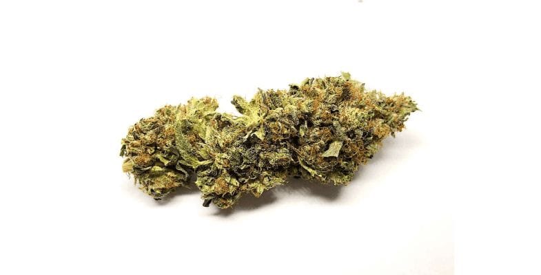 Is the Blueberry Rockstar strain worth trying? Blueberry Rockstar is a potent 80:20 indica dominant hybrid strain created through a cross between Rockstar Kush and Blueberry OG.