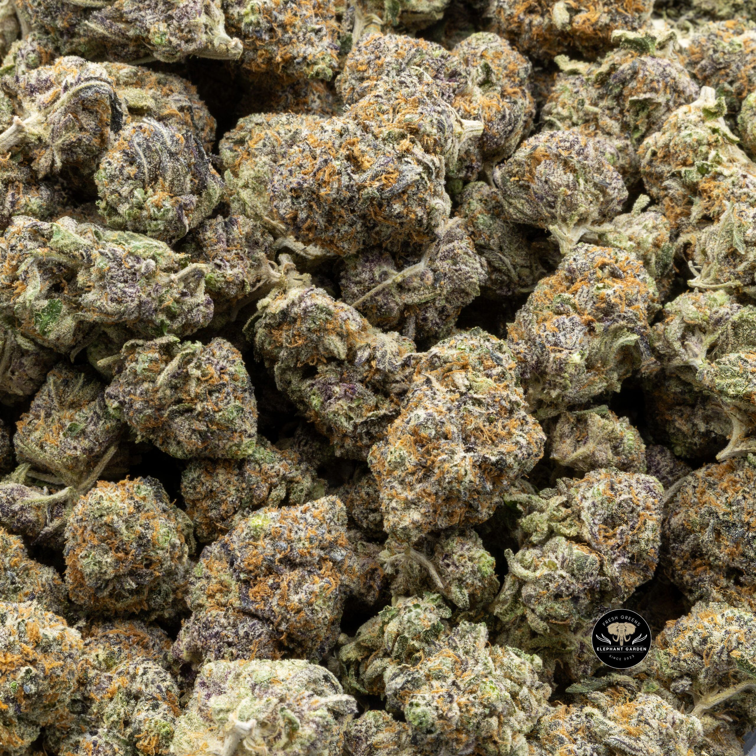 Buy Black Cherry (Bulk) at Elephant Garden Co Weed Dispensary Bulk 2